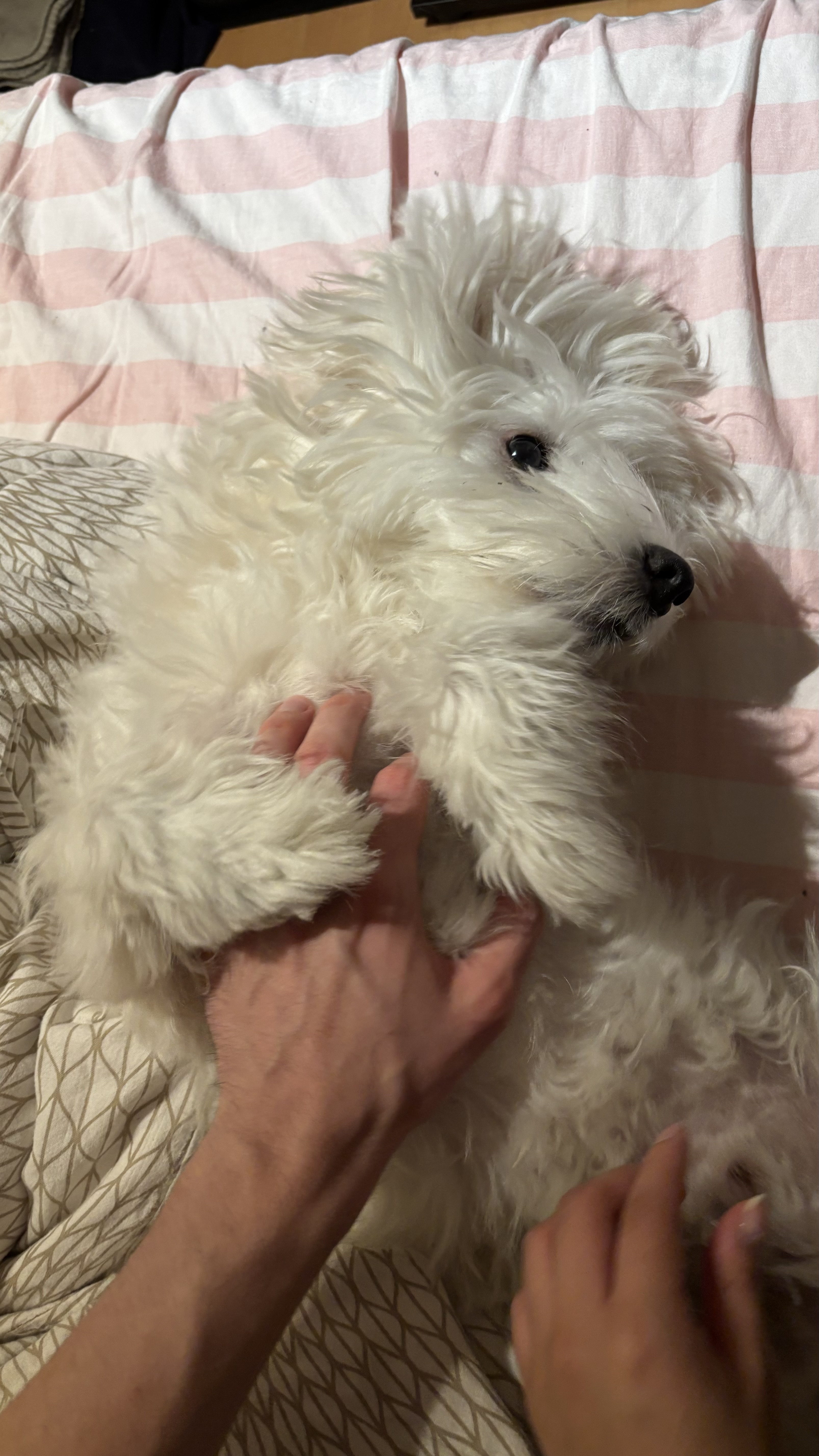 image-6