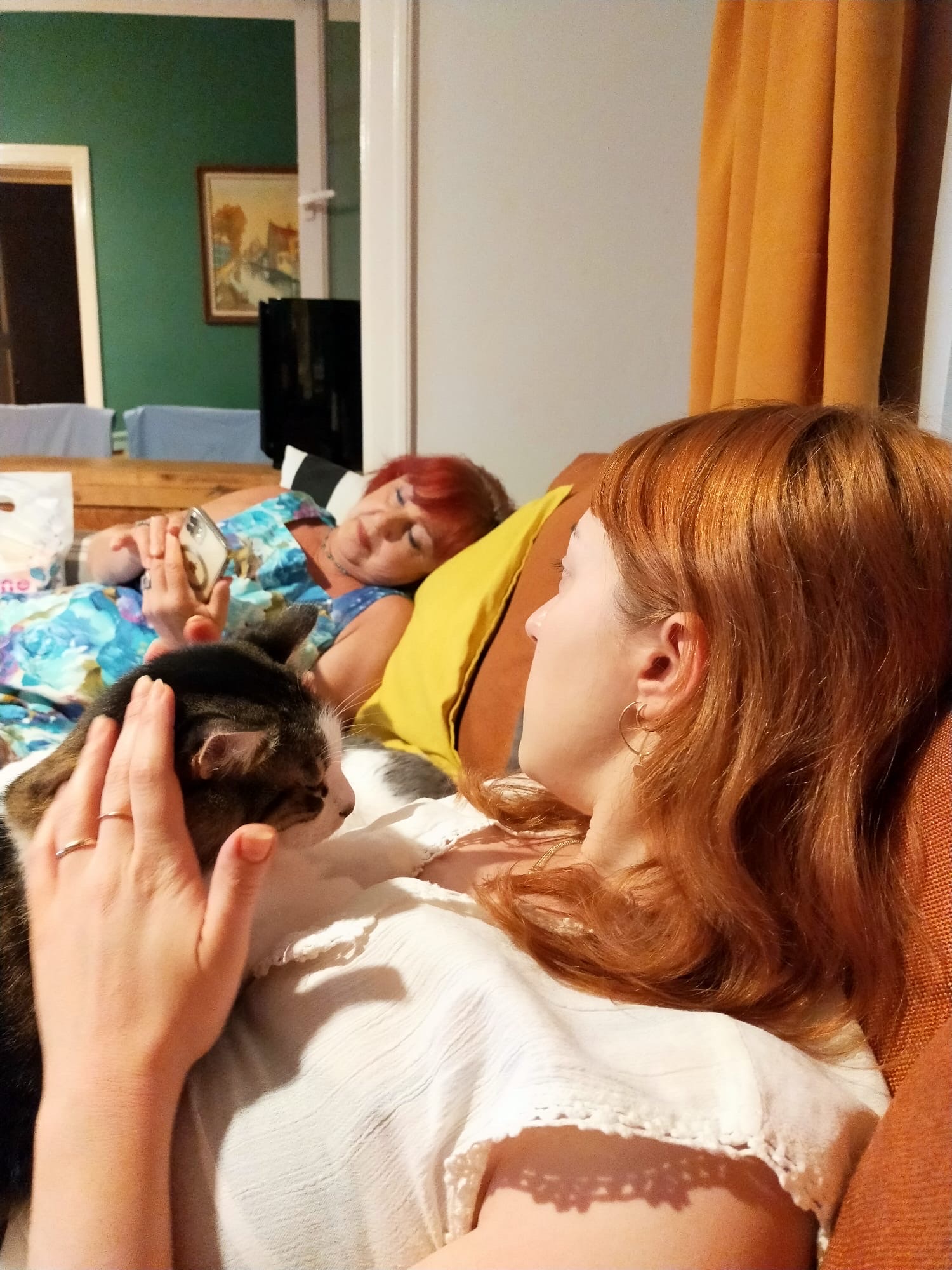 image-5