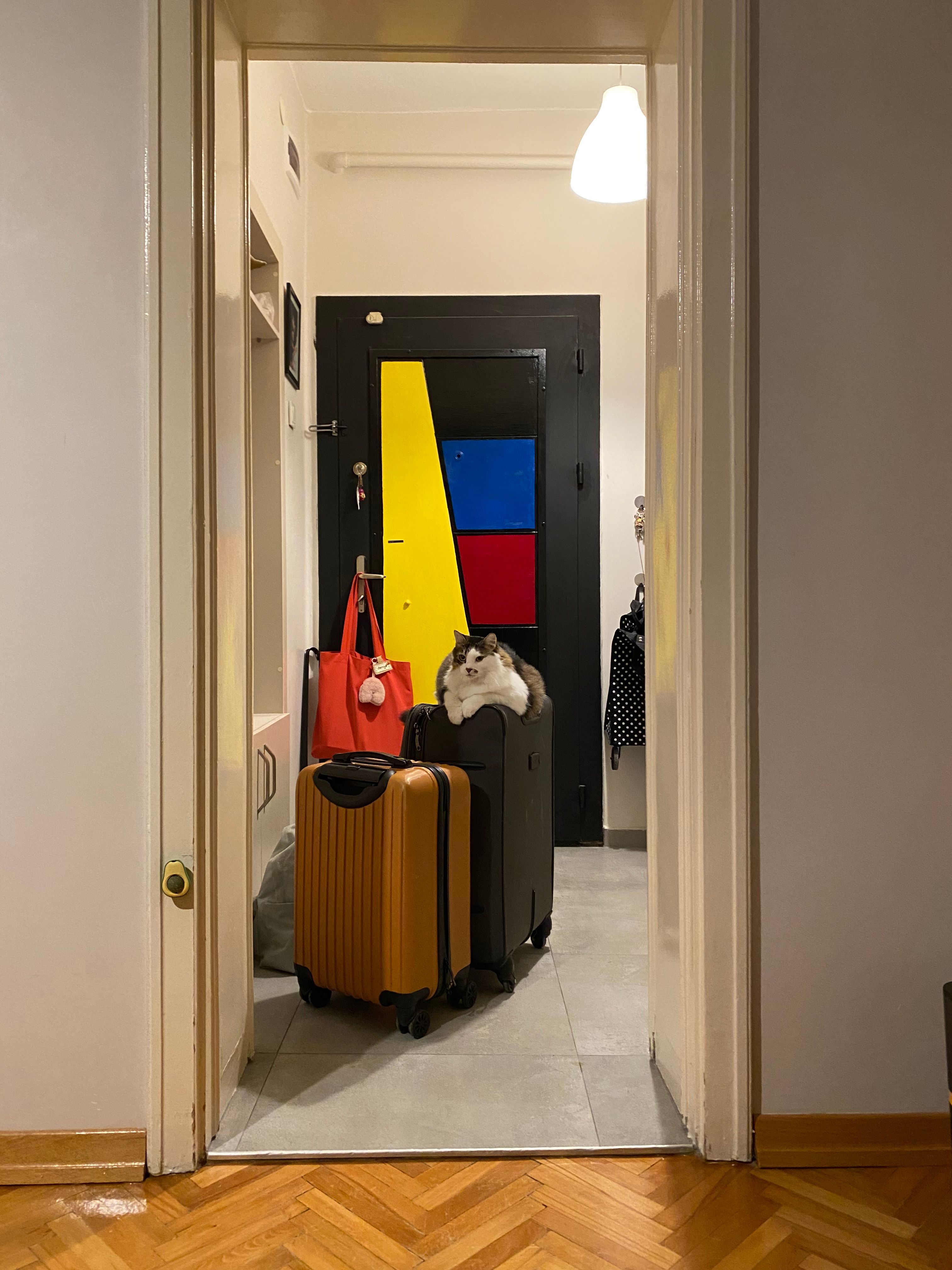 image-6