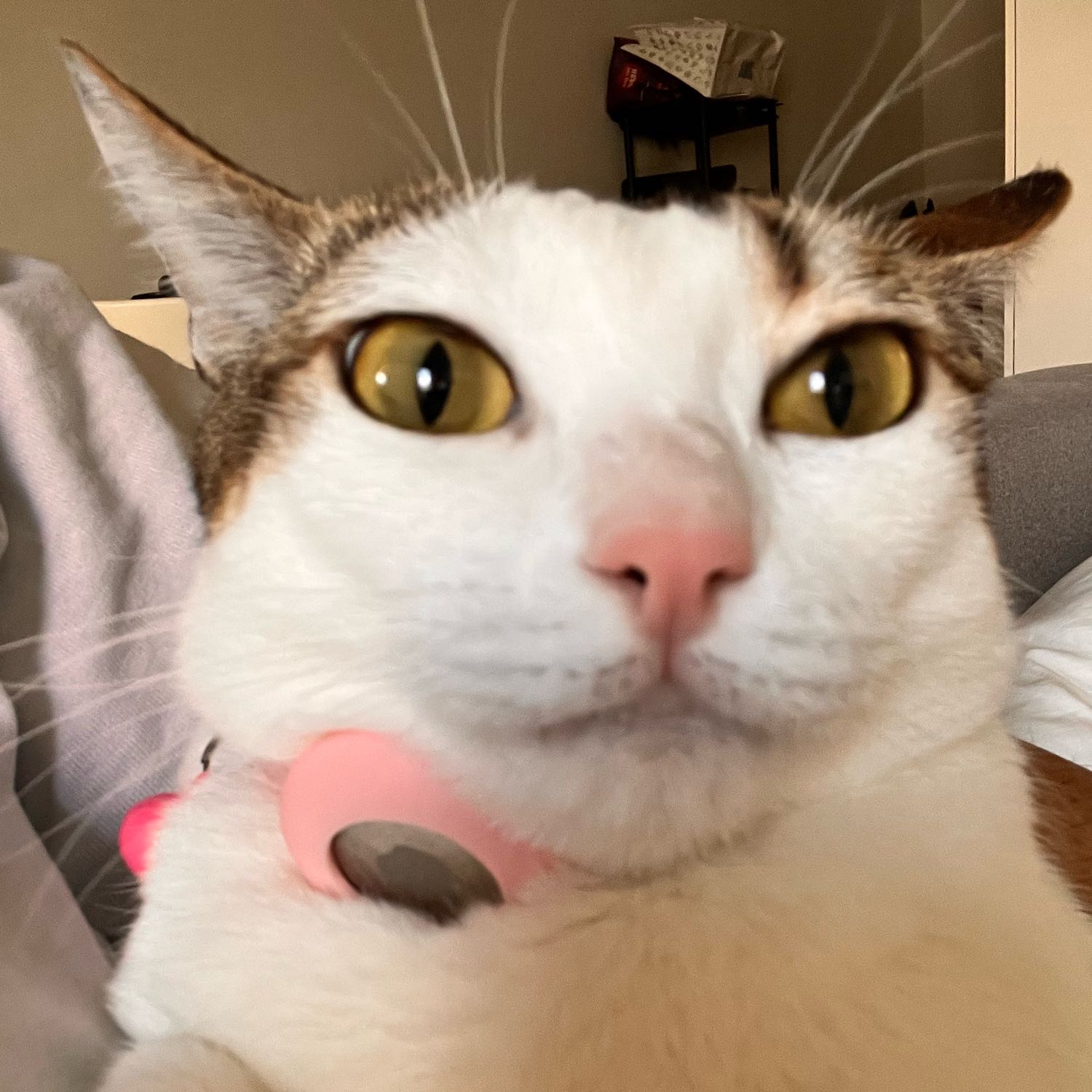 Peu