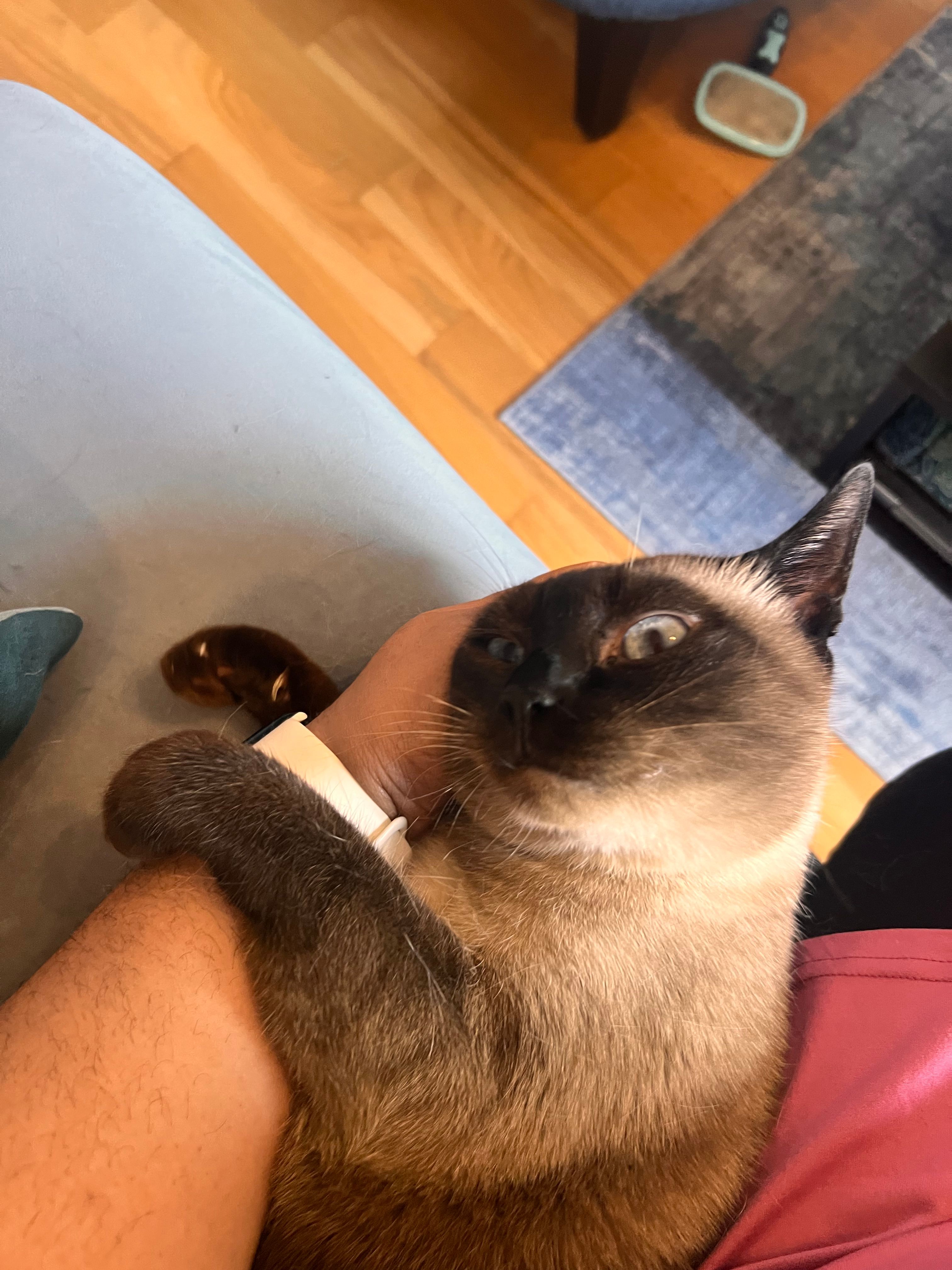 image-4