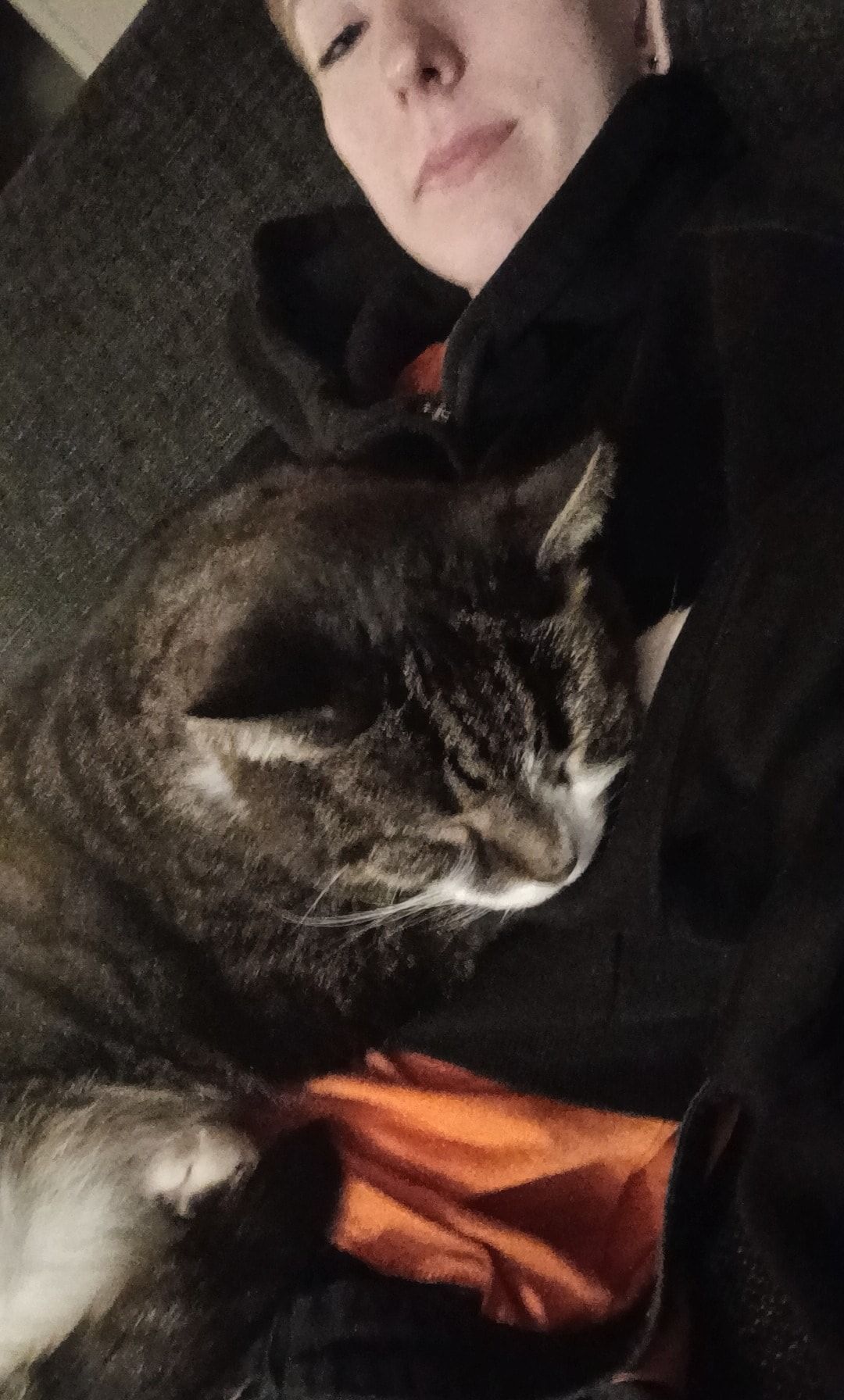 image-6