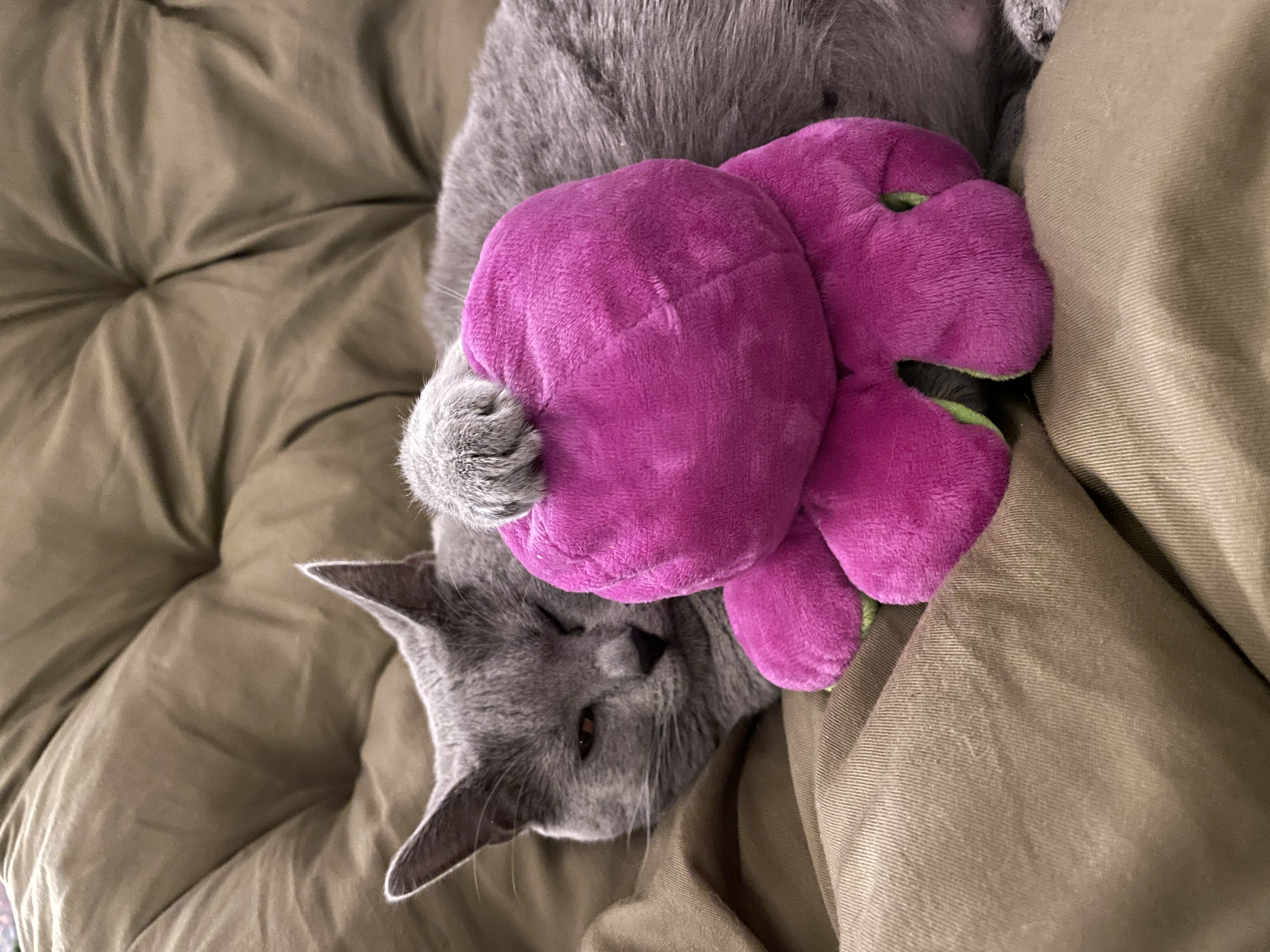image-8