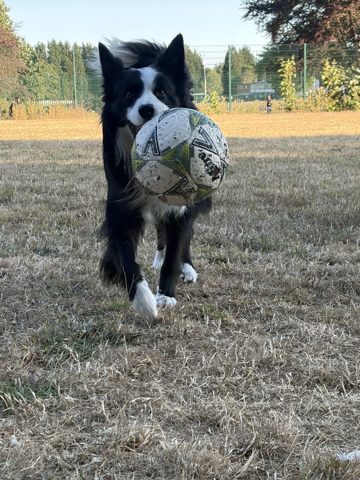 image-6