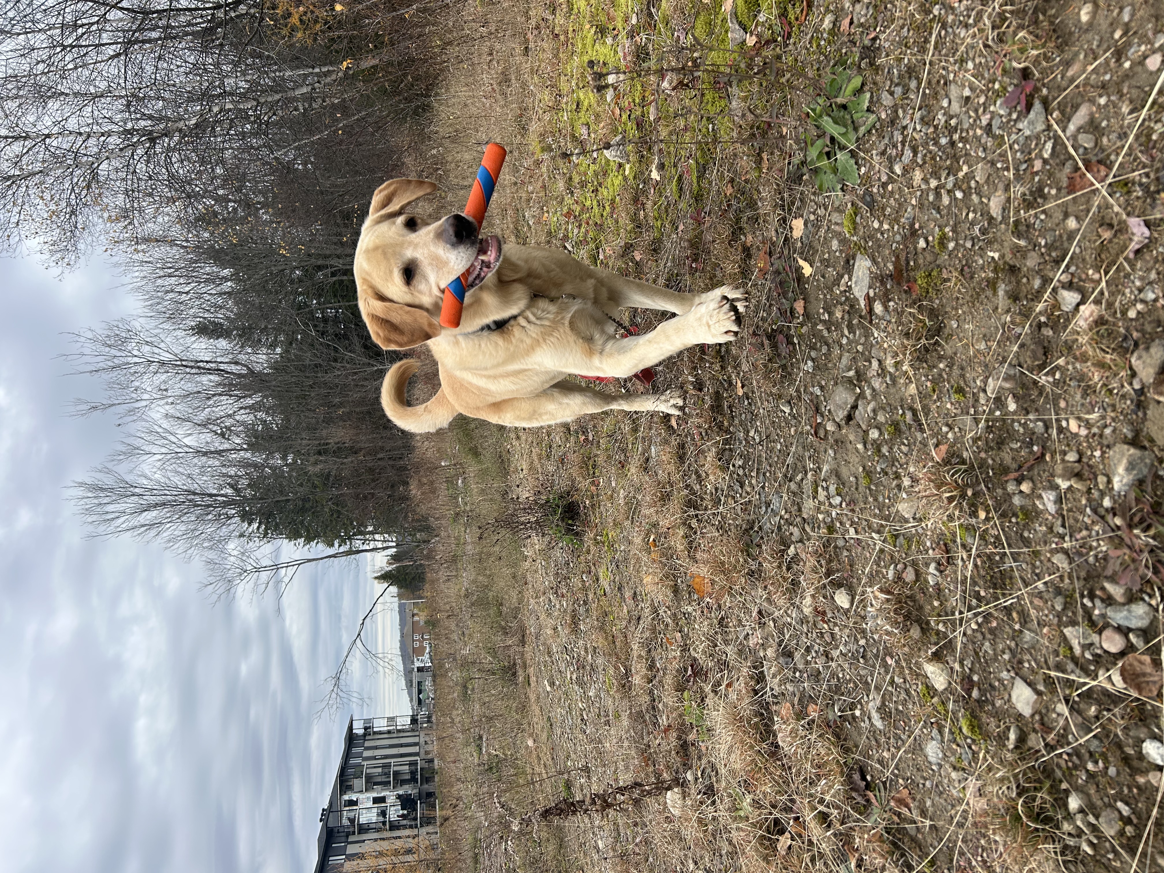 image-16