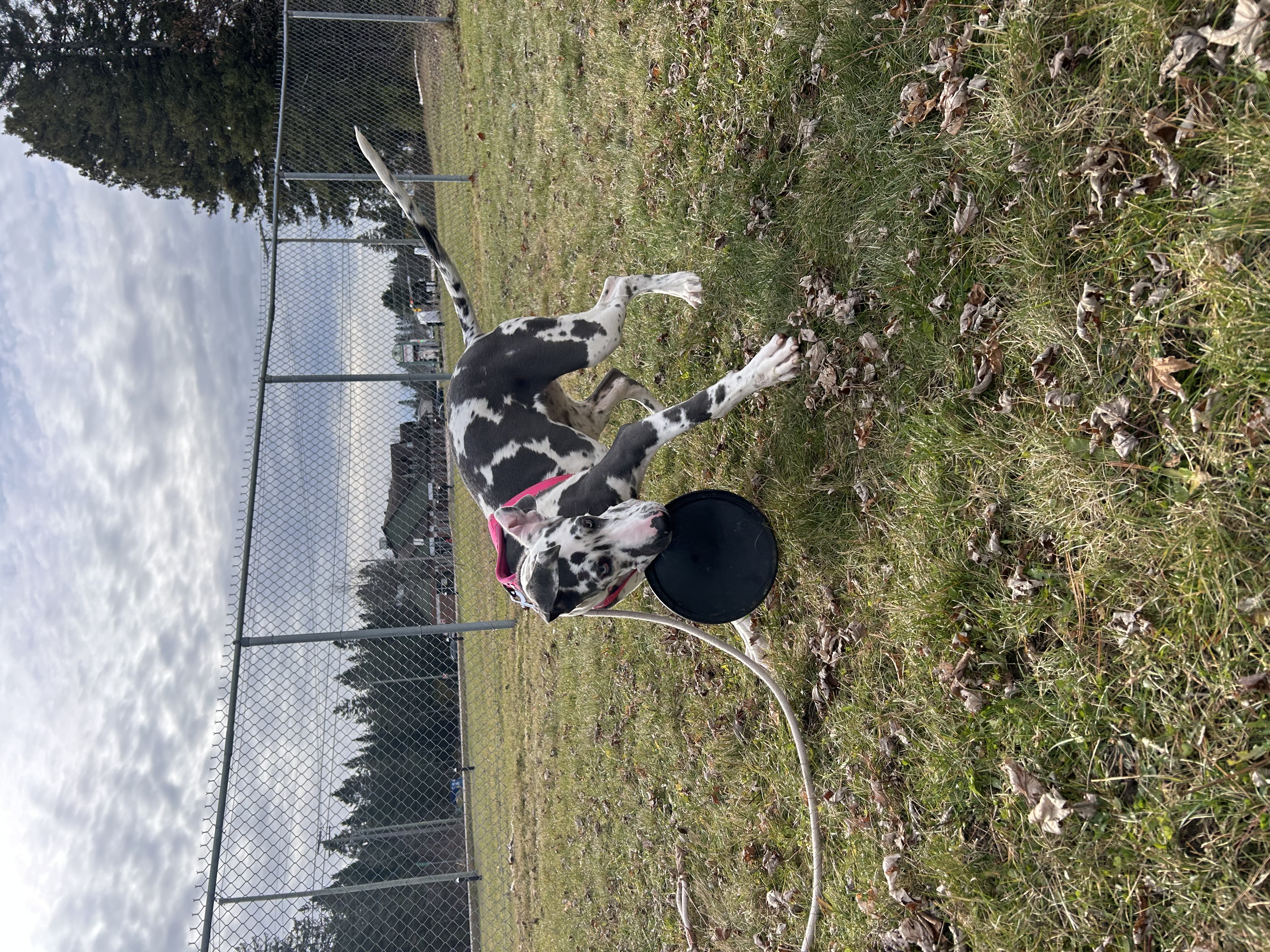 image-15