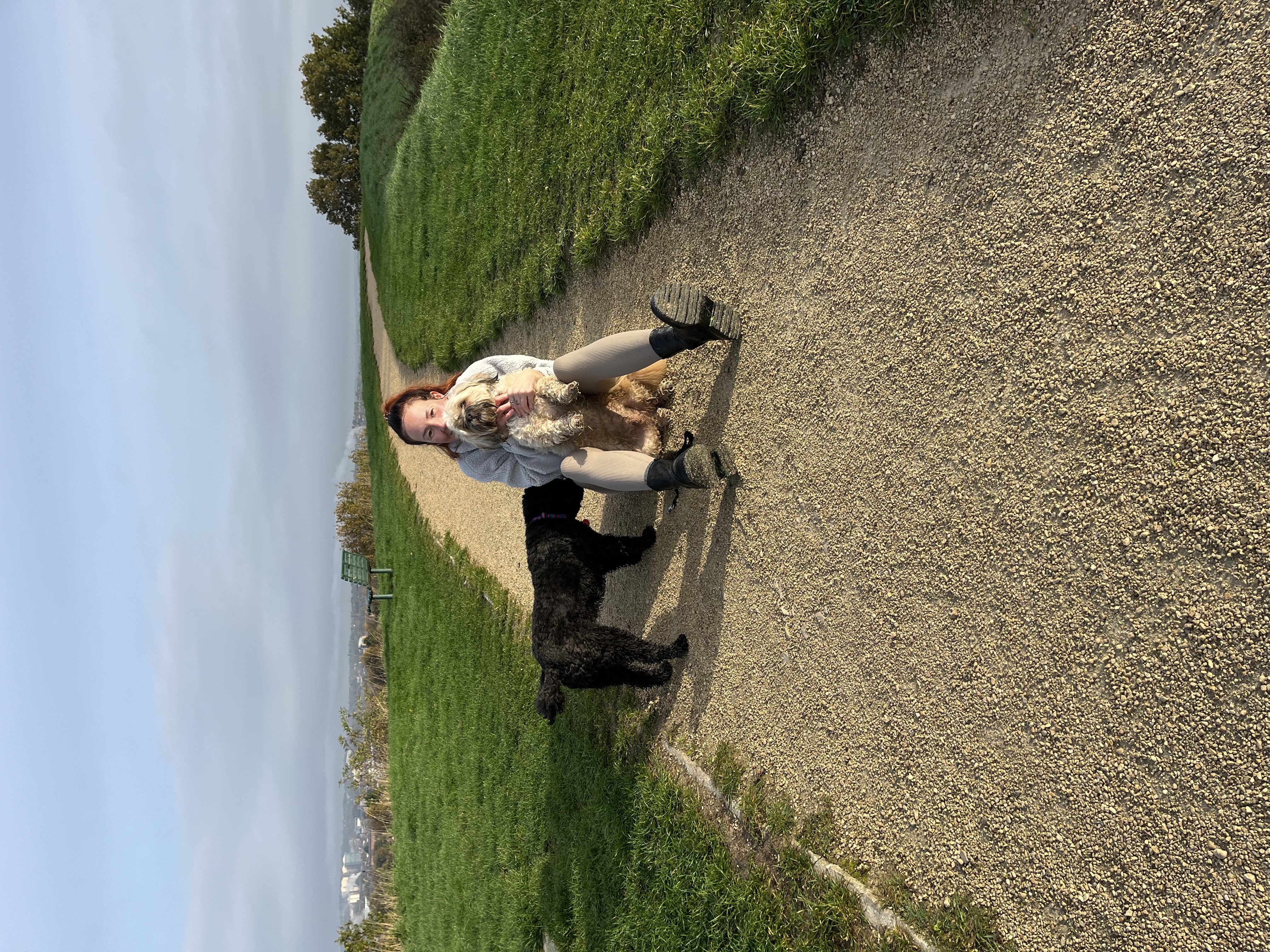 image-4