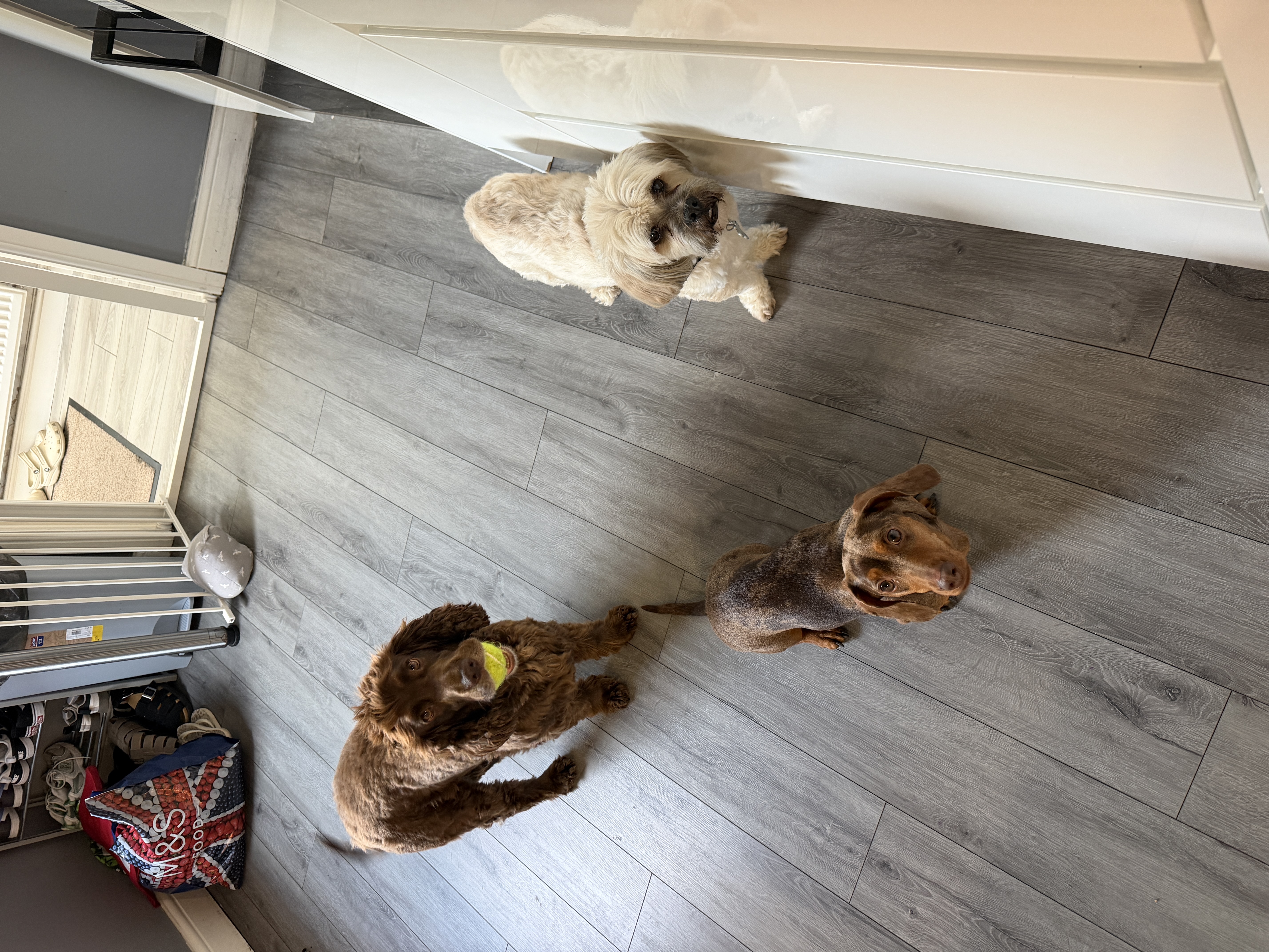 image-3