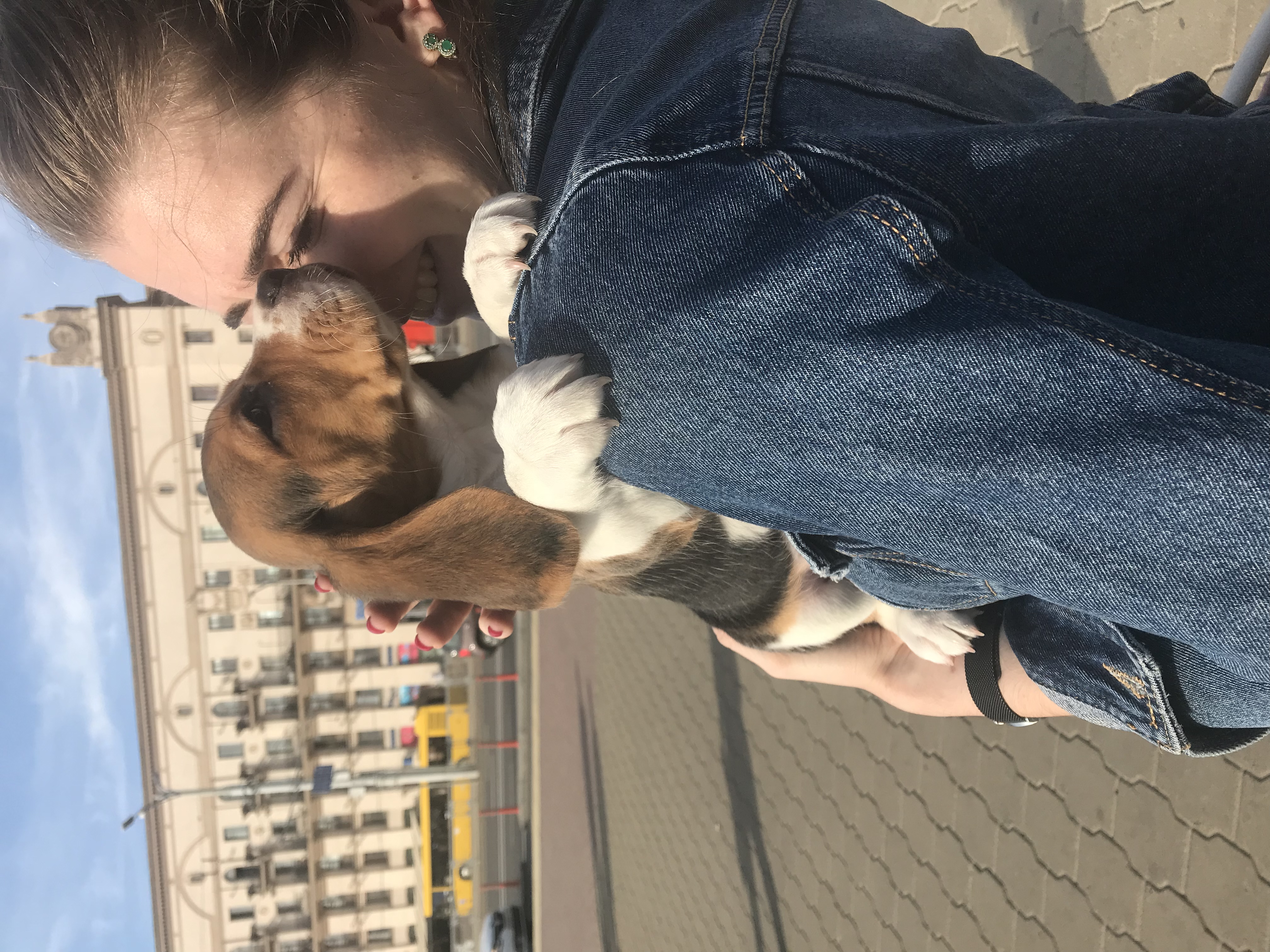 image-6