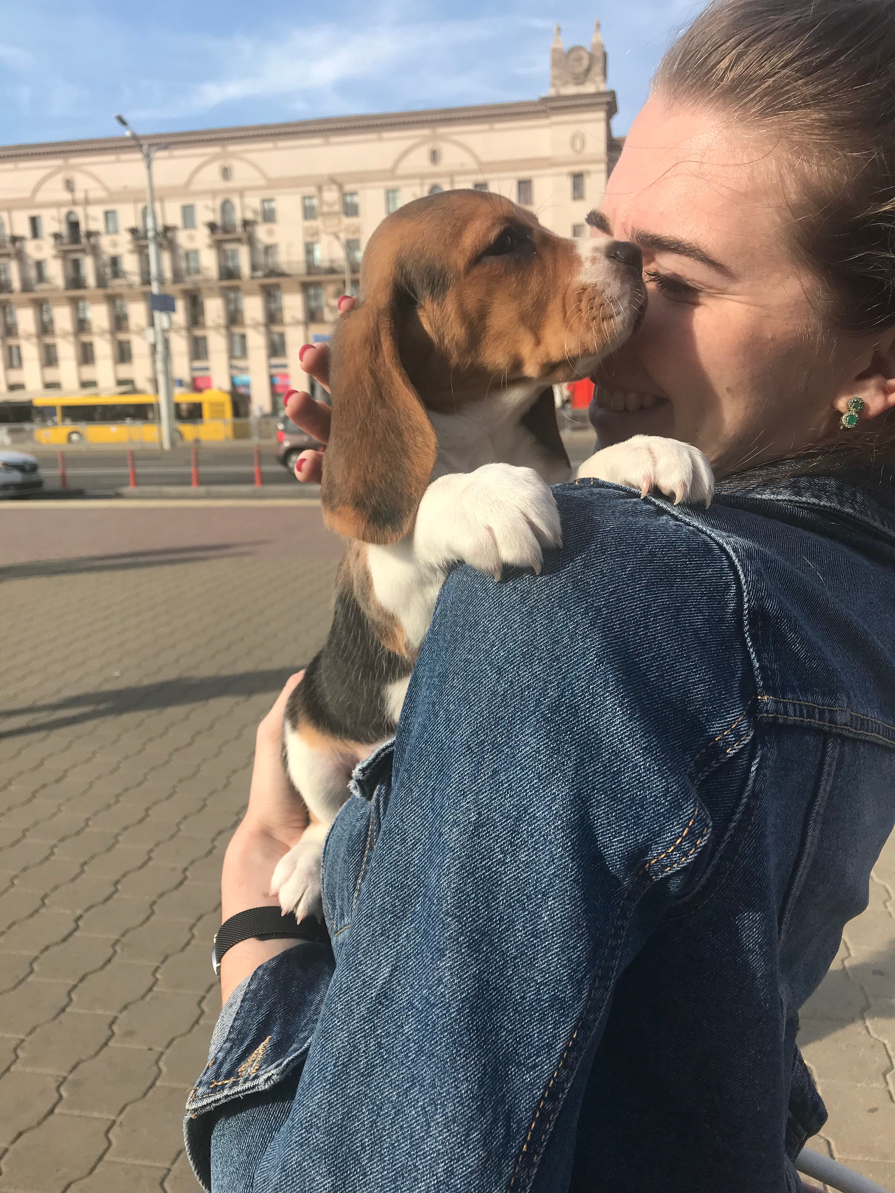 image-6