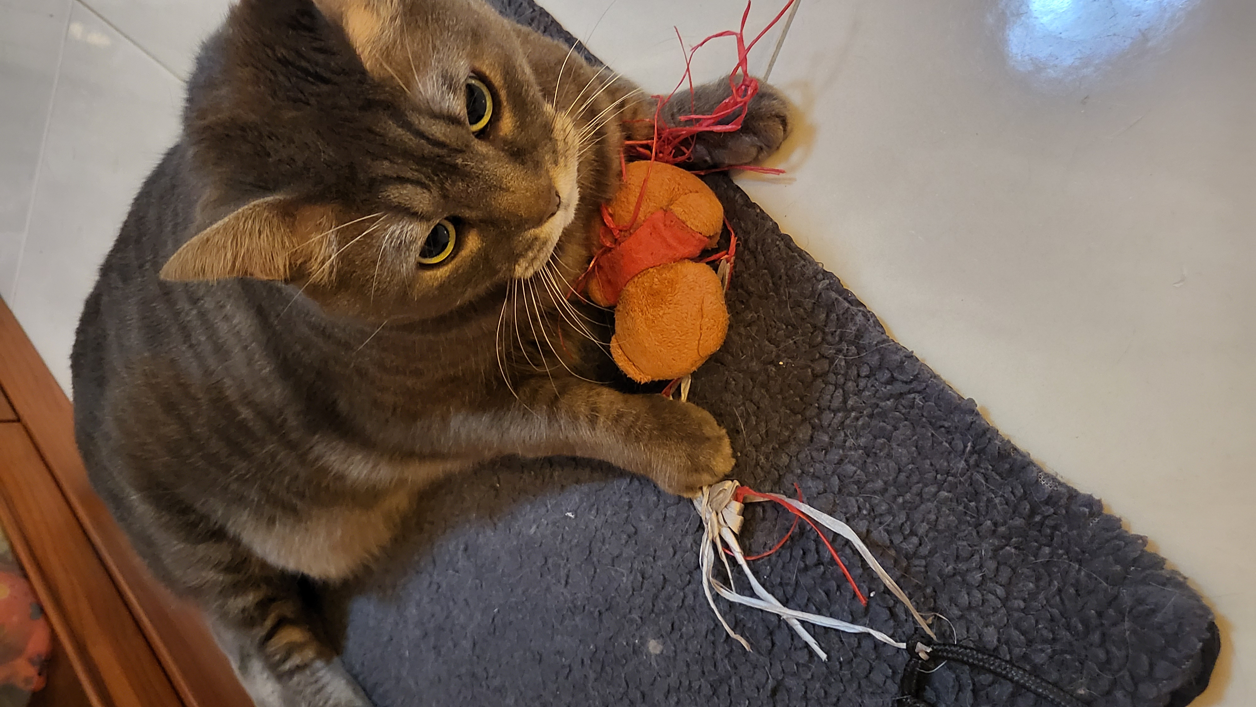 image-6