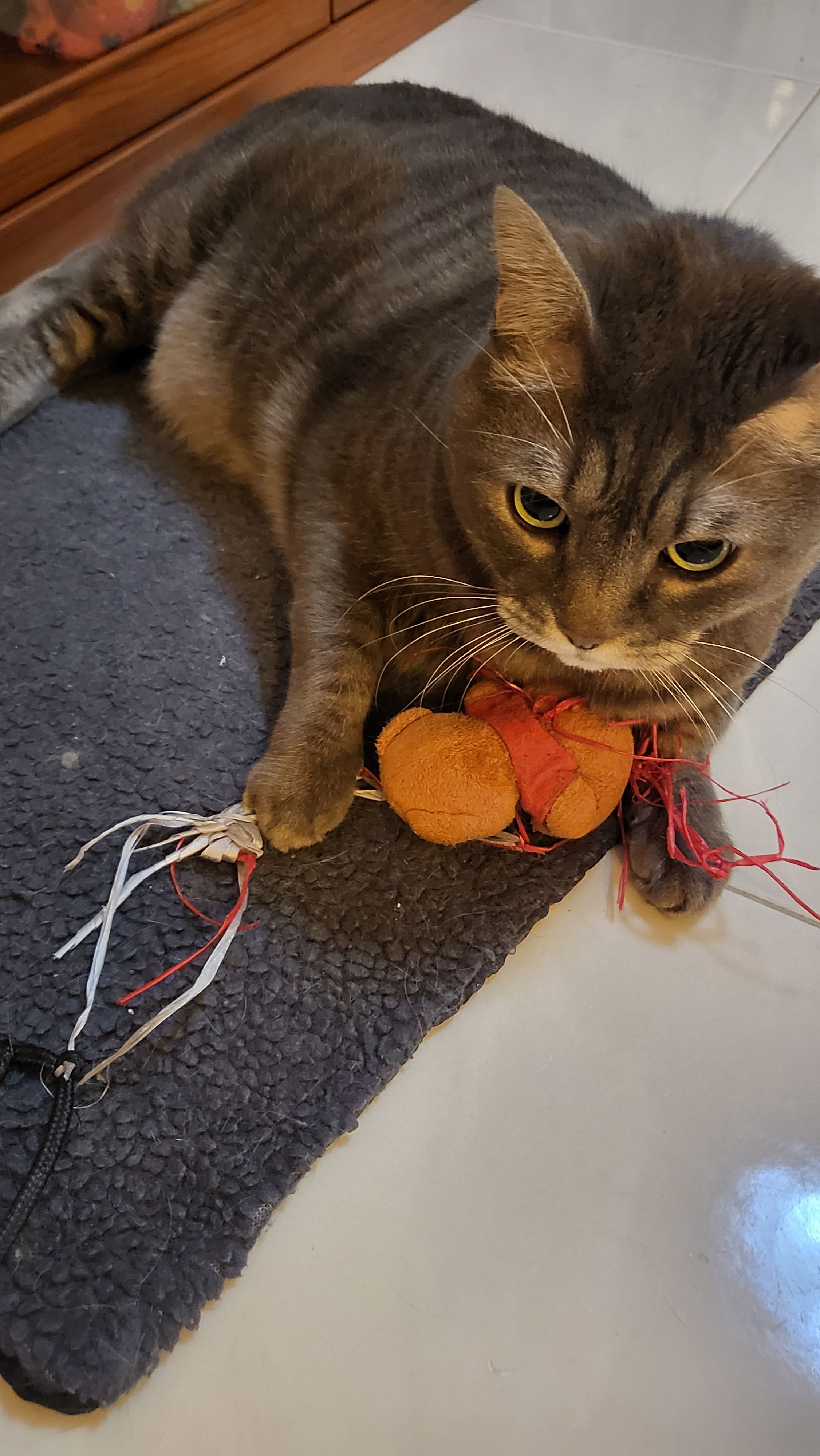 image-6