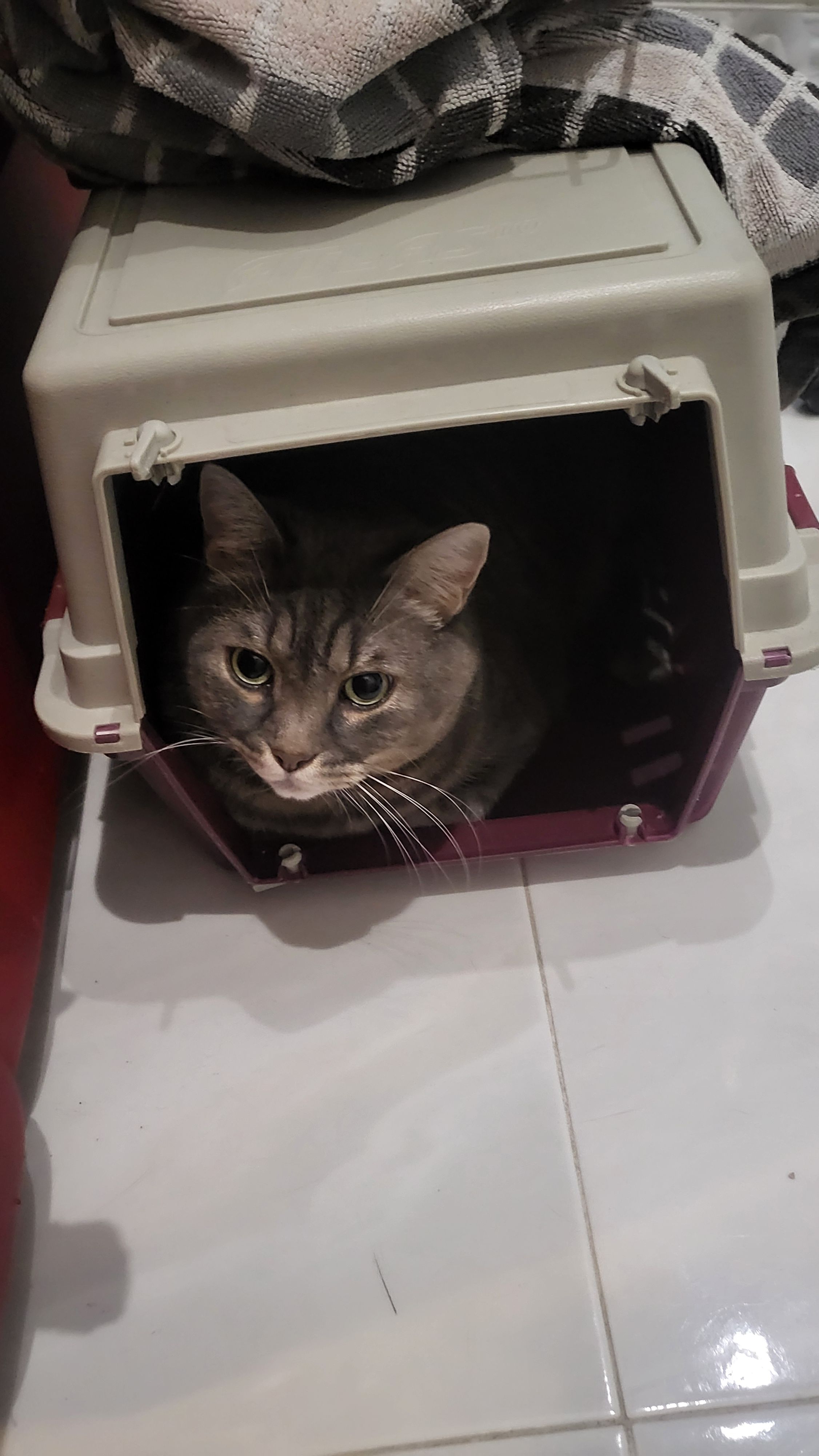 image-9