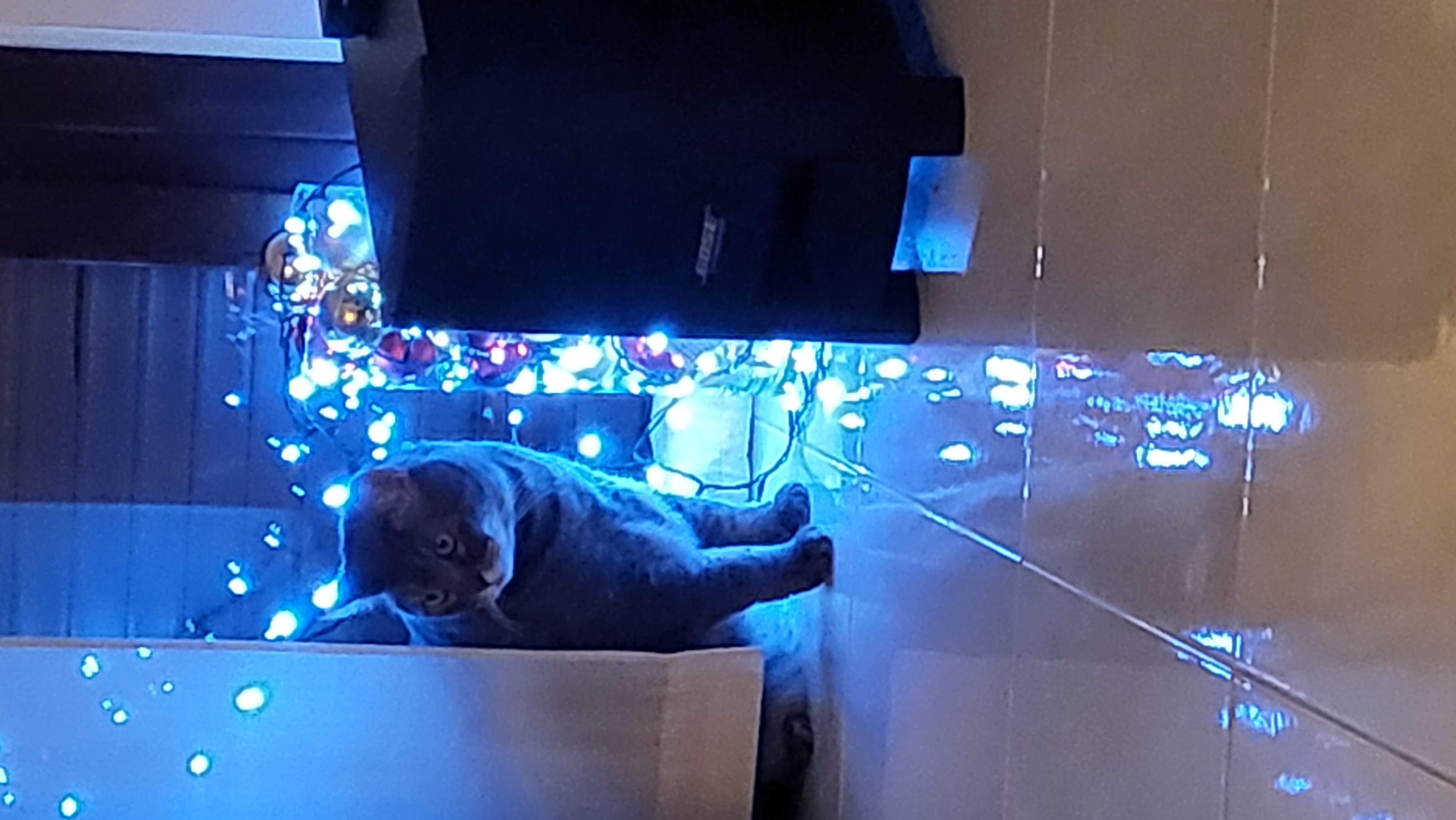 image-8