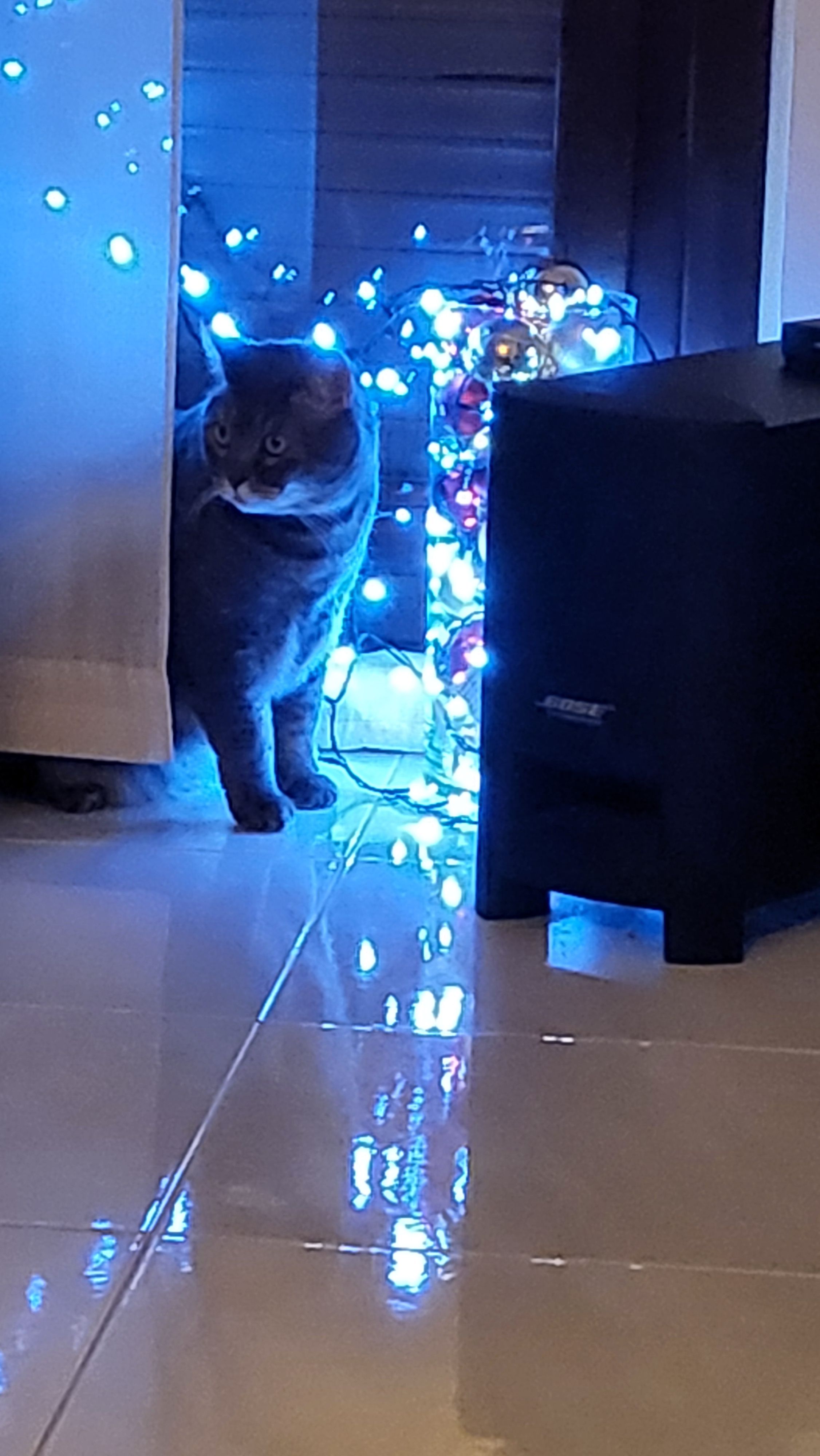 image-8
