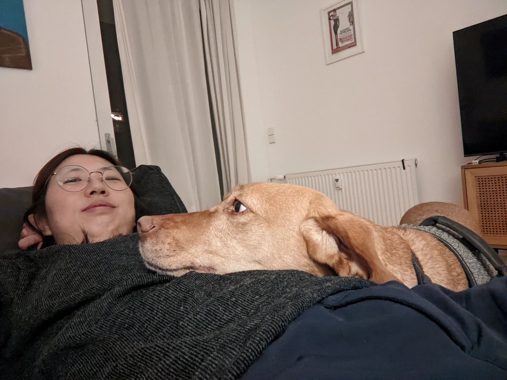 image-21