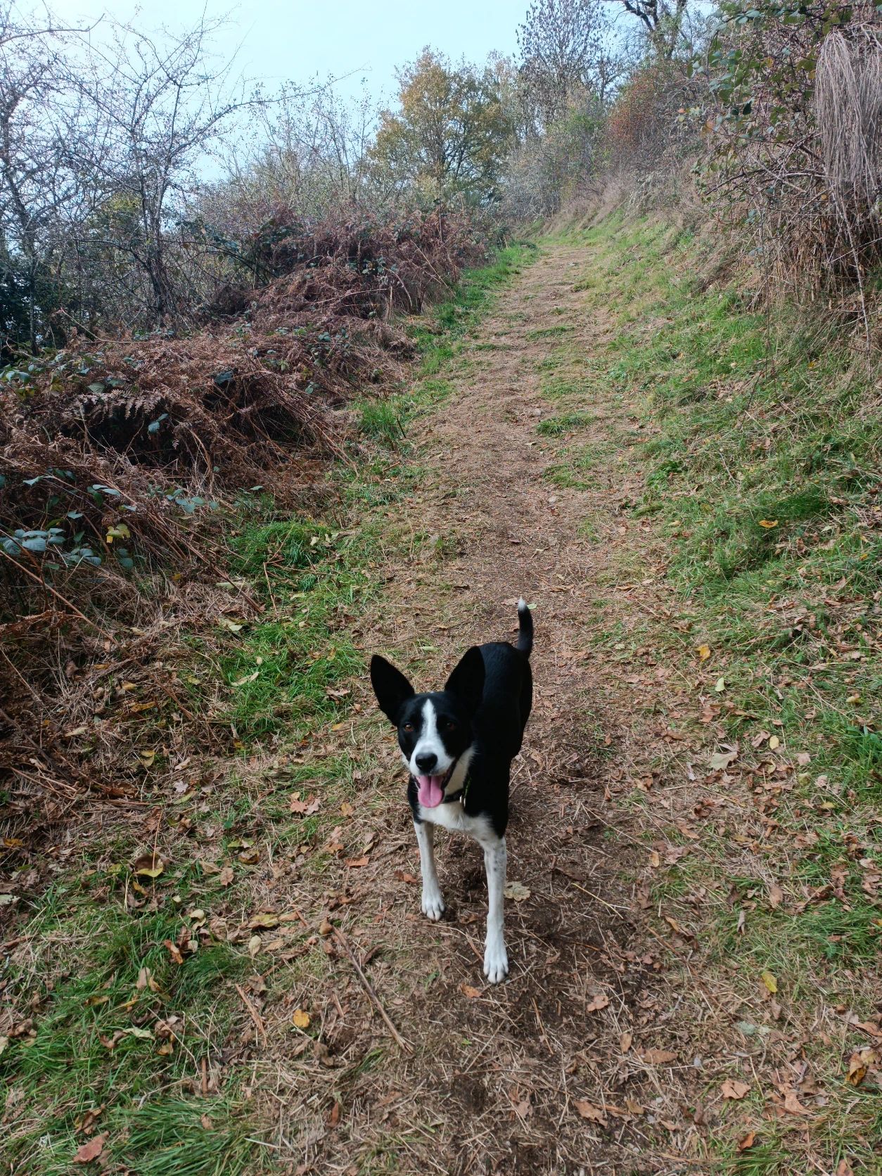 image-8
