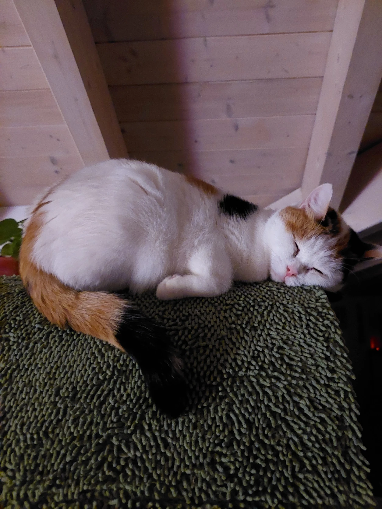 image-10