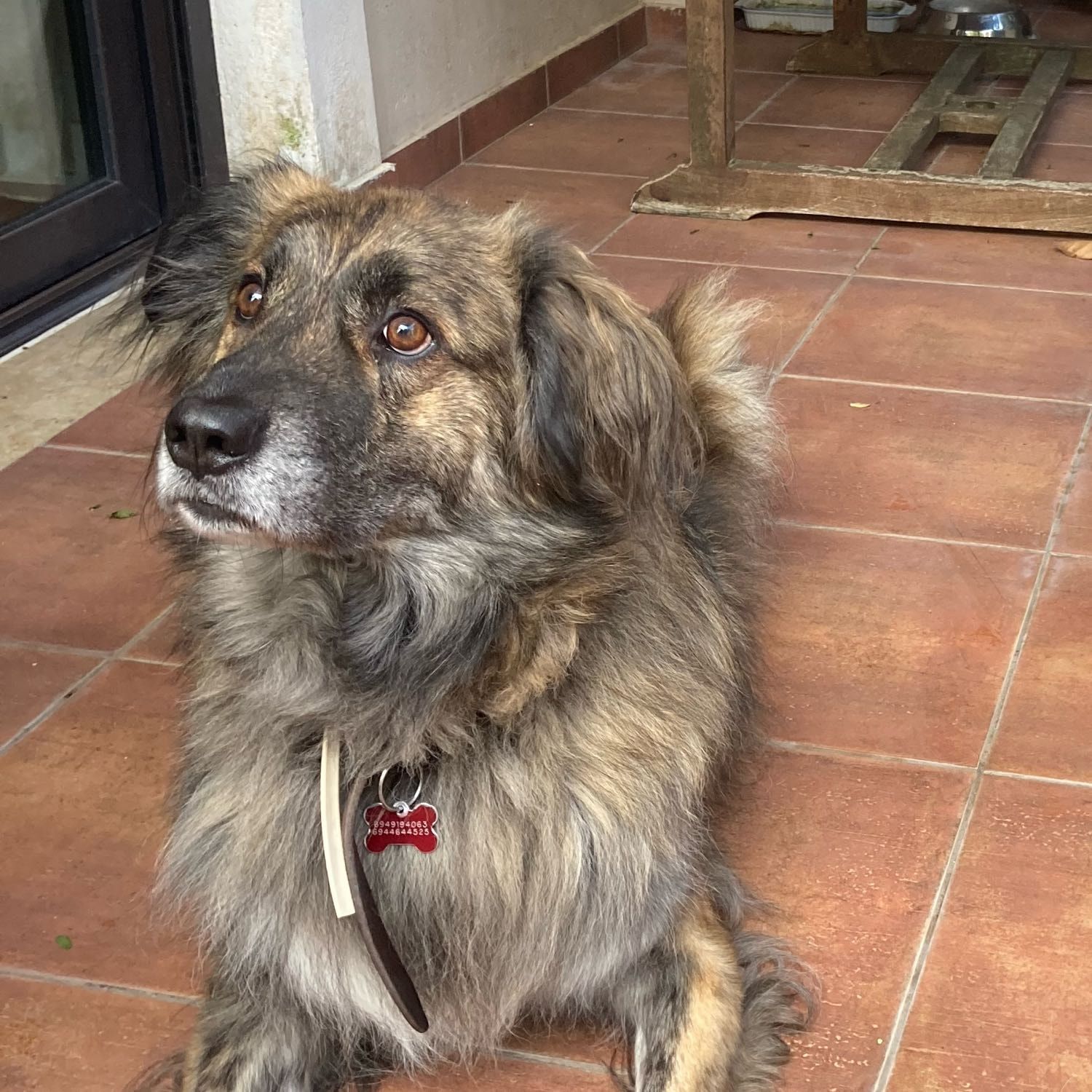 Ragnar
