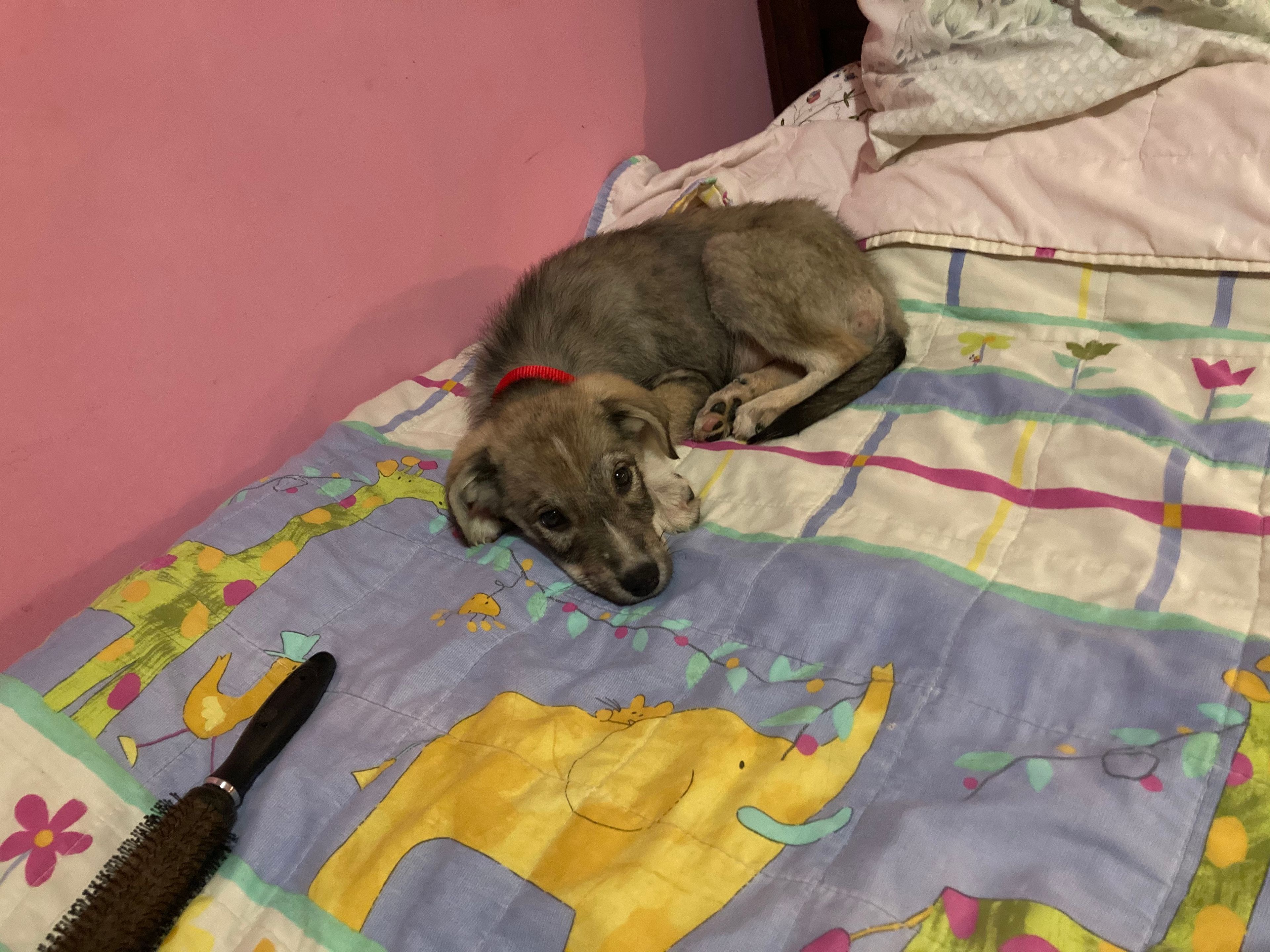 image-8
