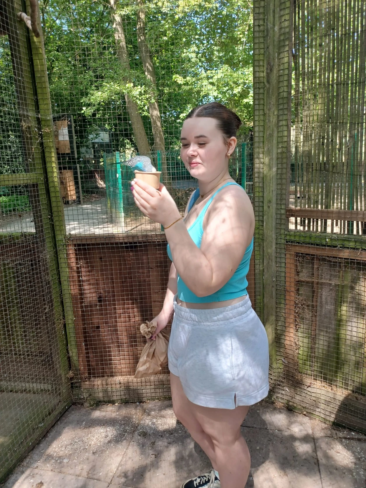 image-6