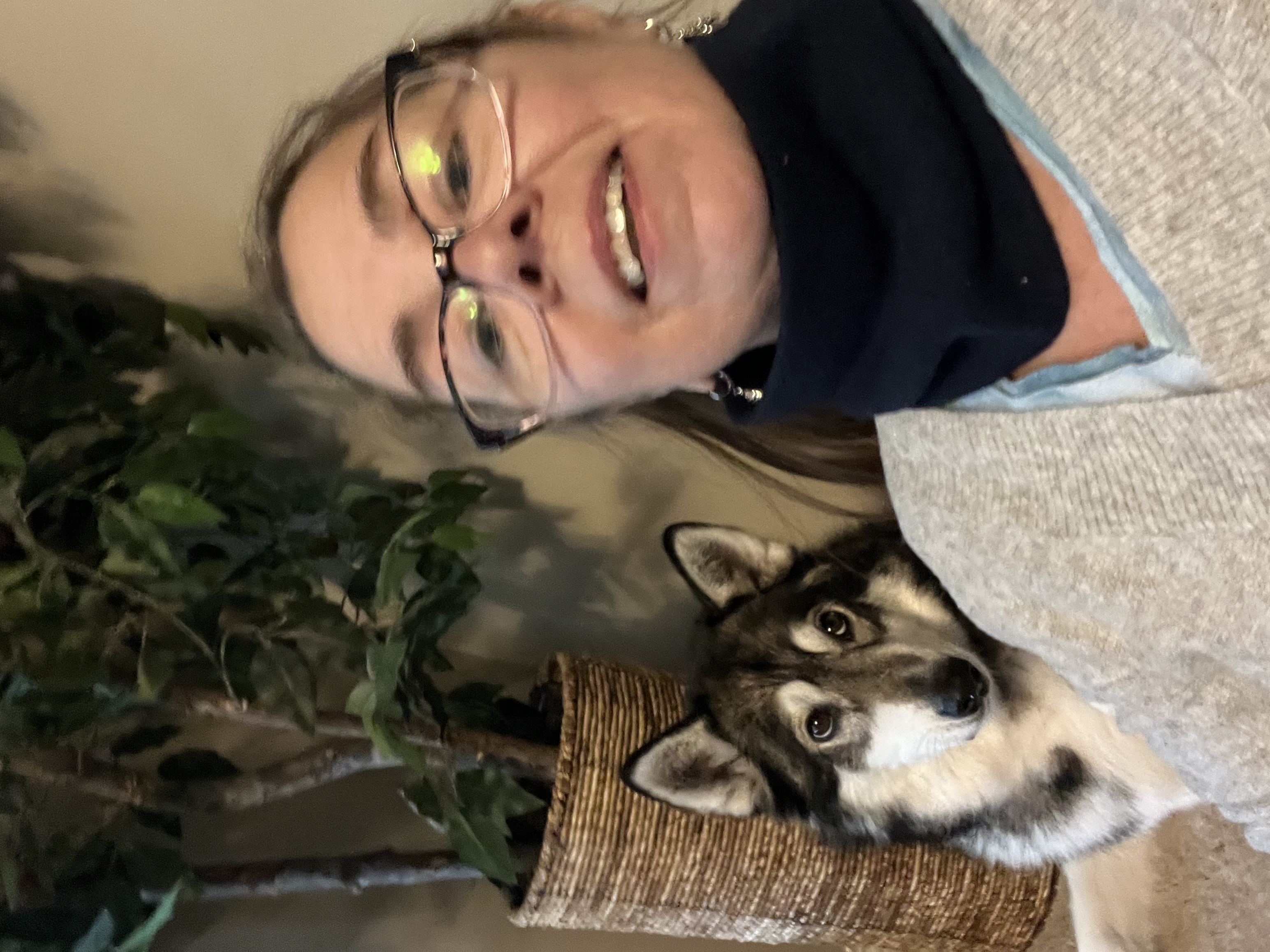 image-12
