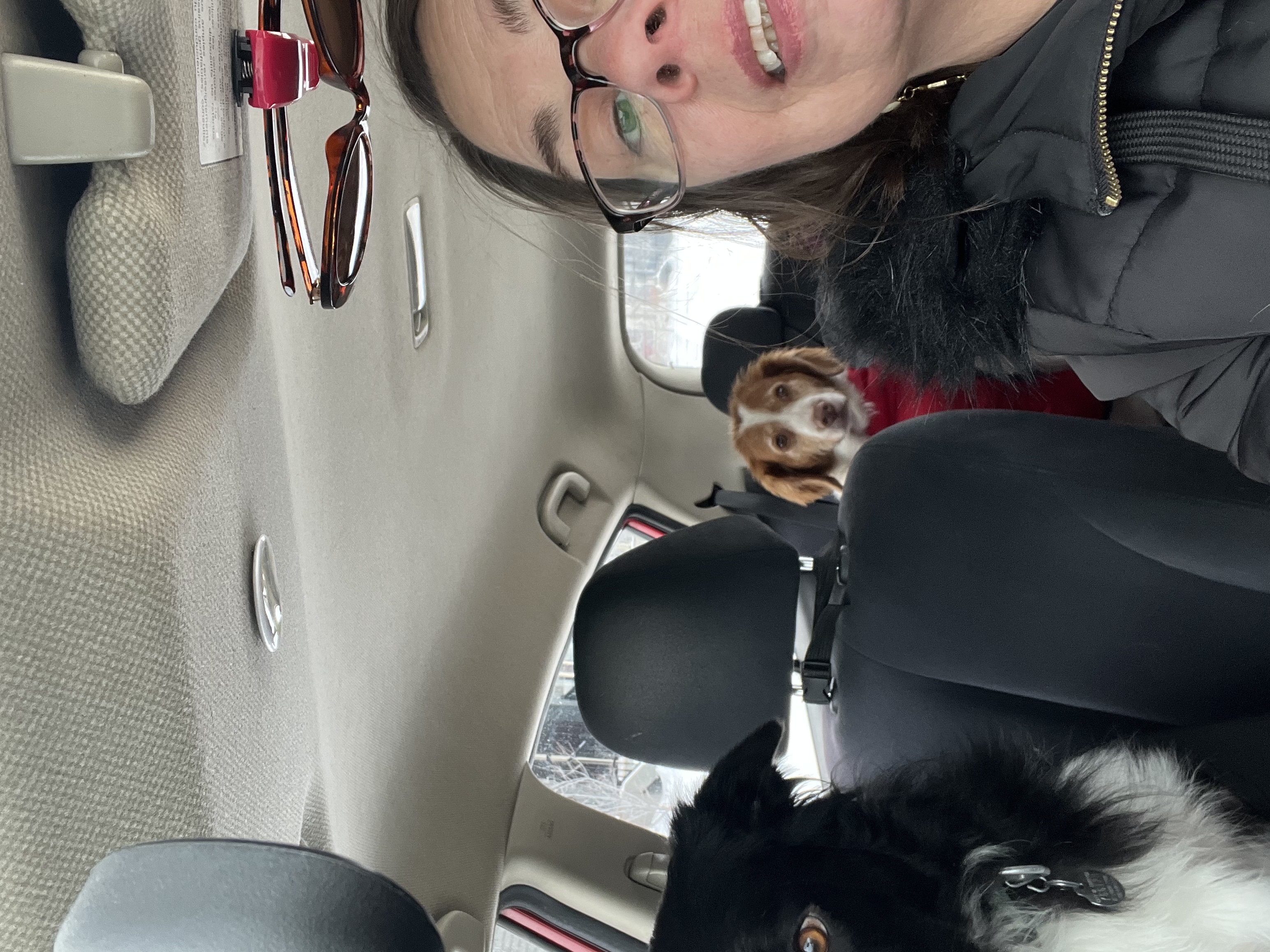 image-11