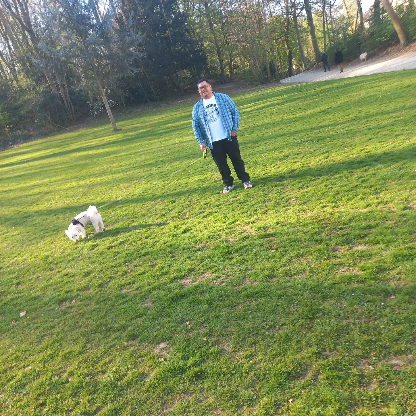 image-7