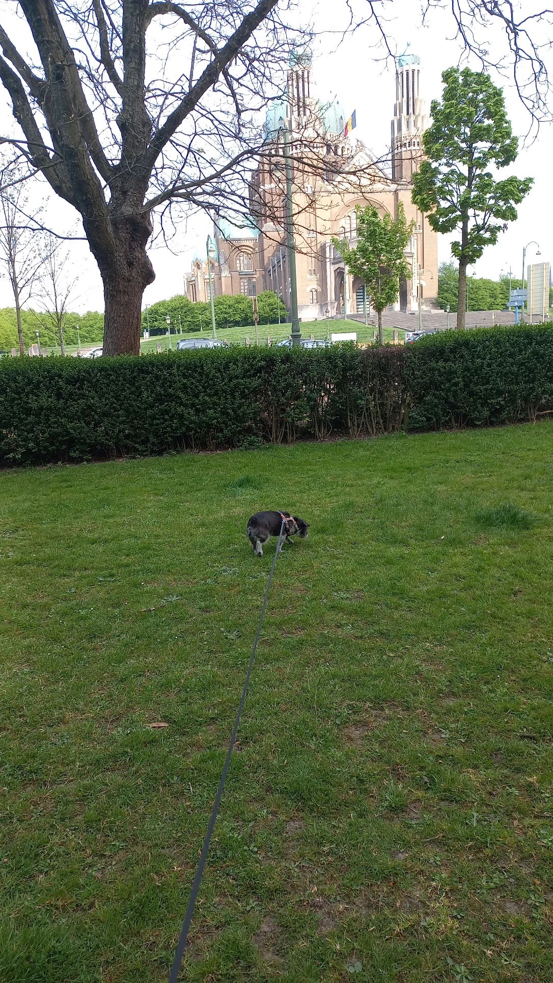 image-13