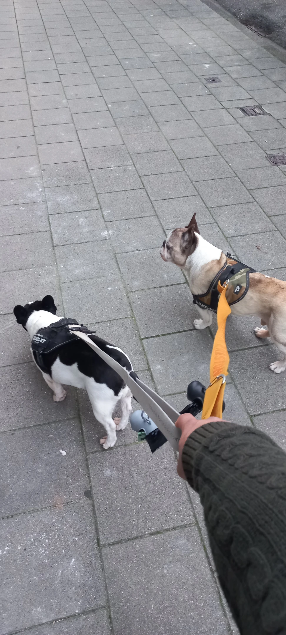image-37