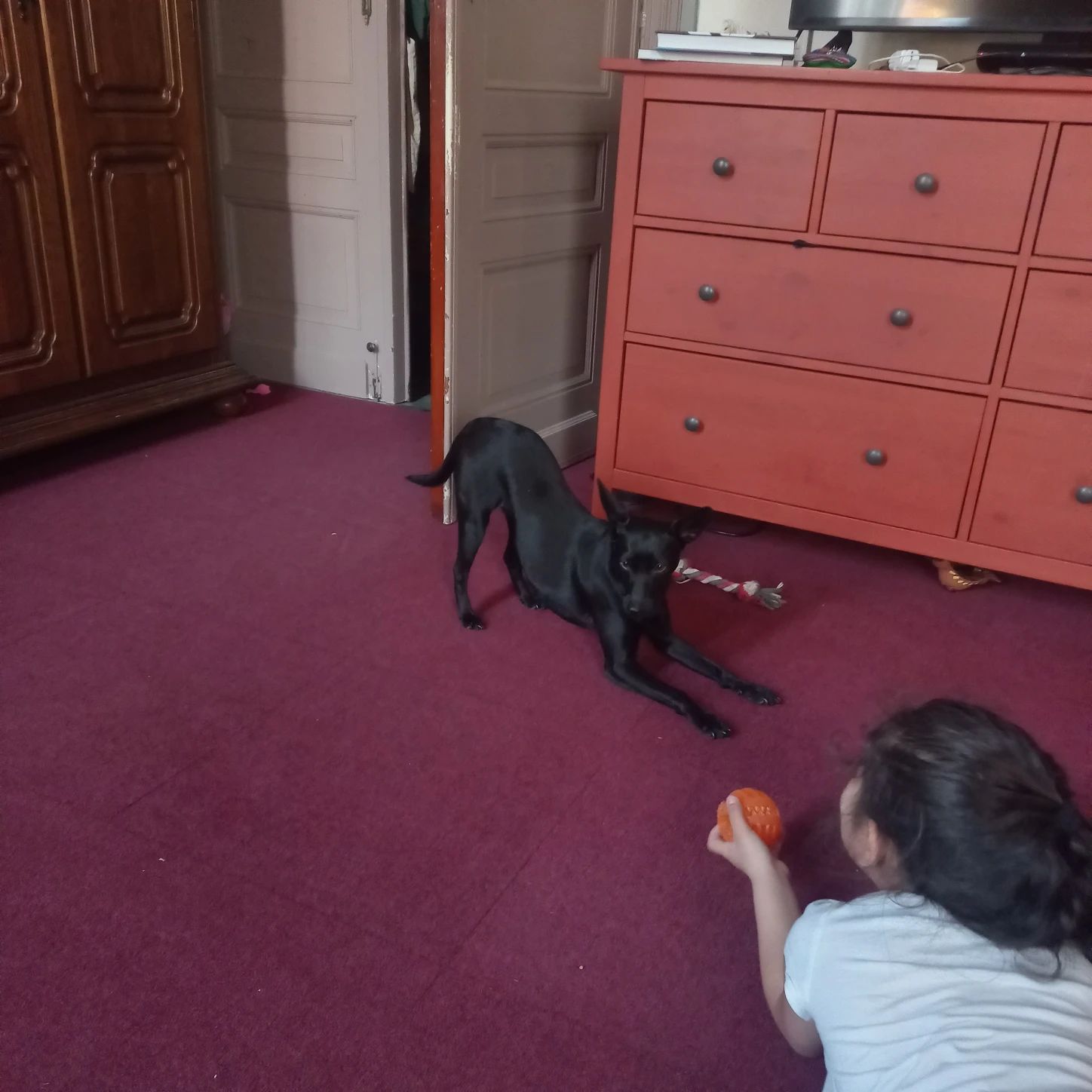 image-11