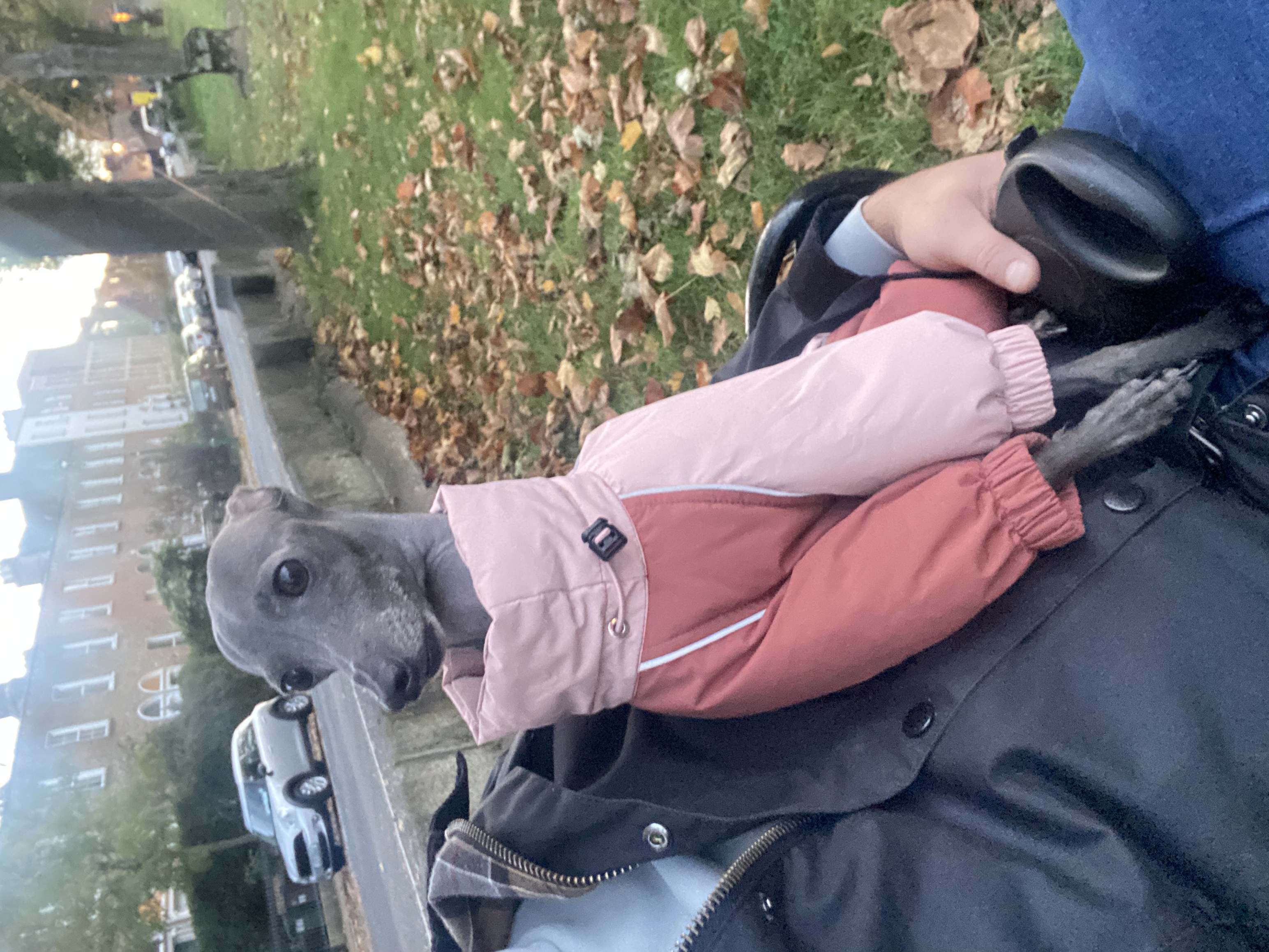 image-8
