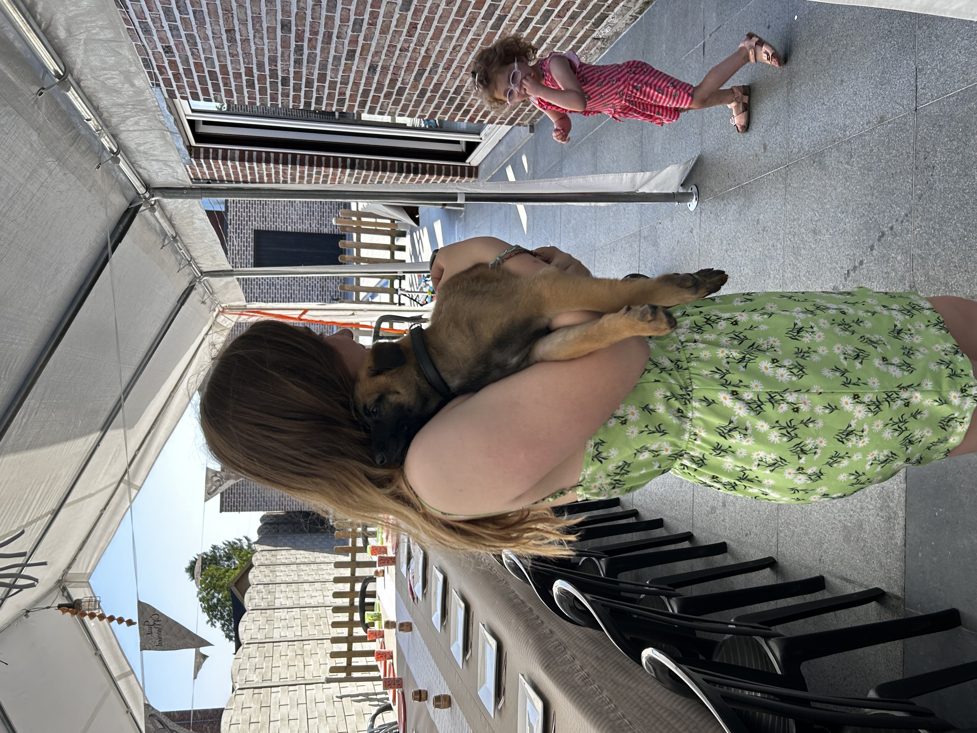 image-6