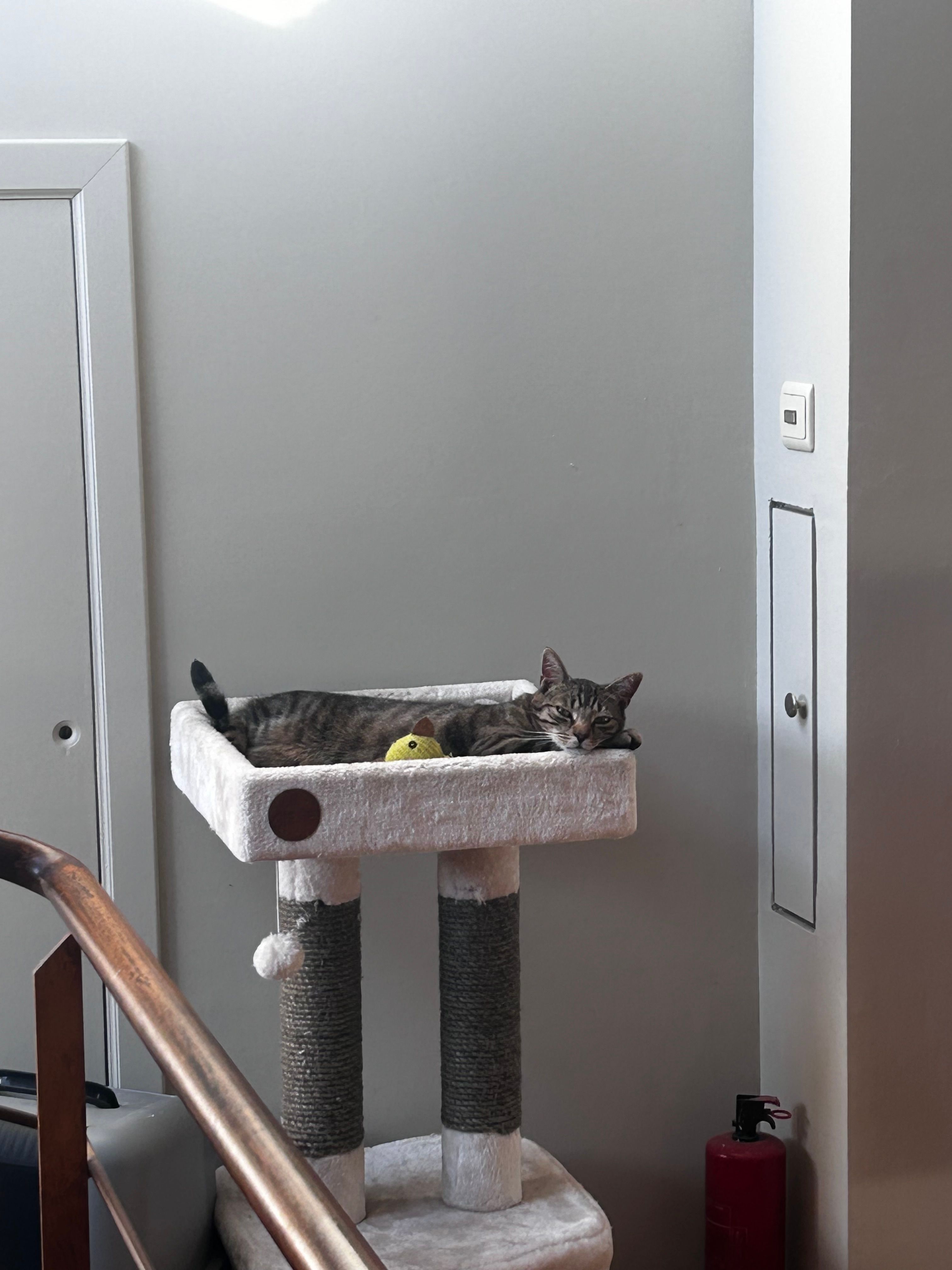 image-9