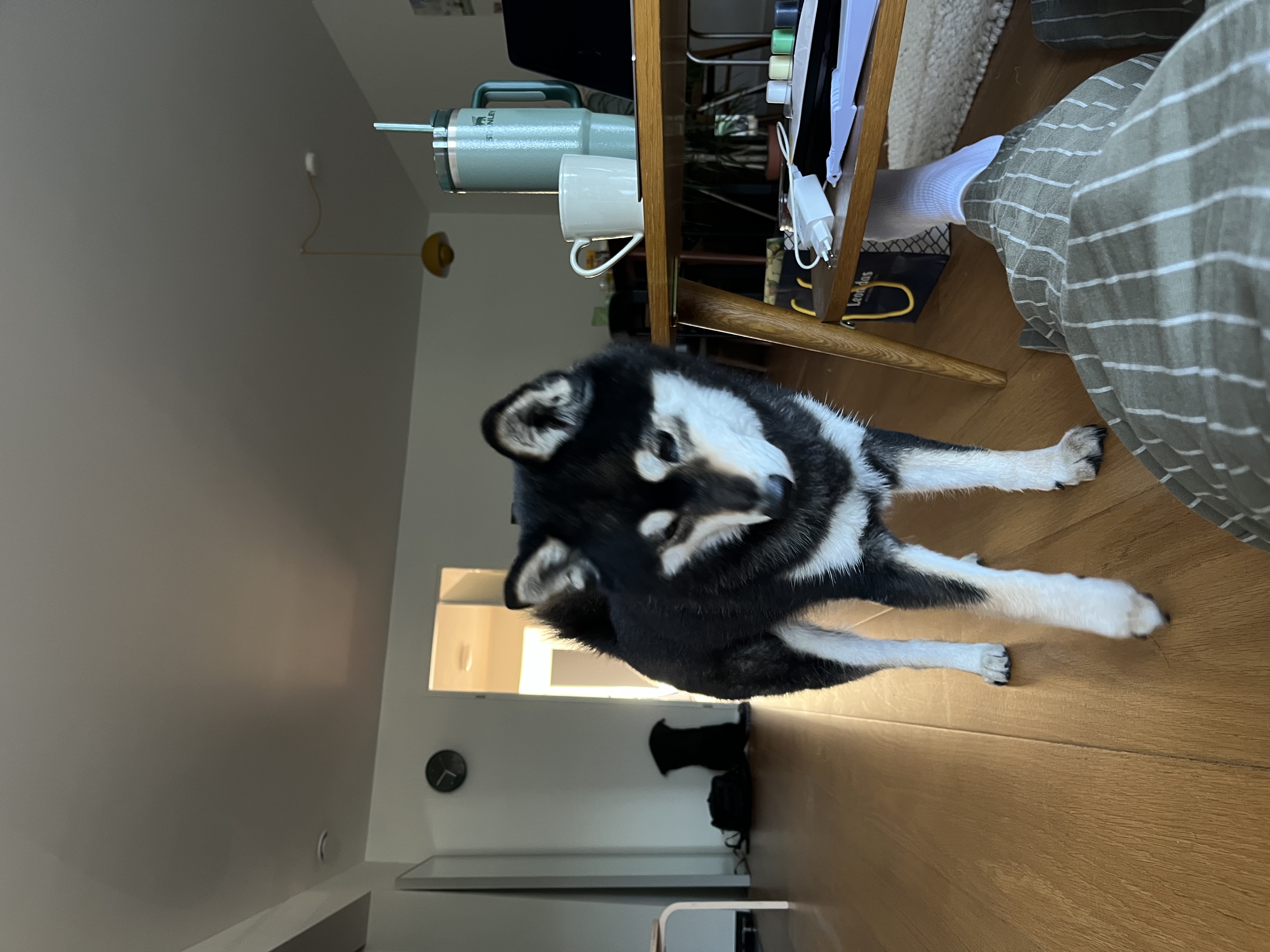 image-4