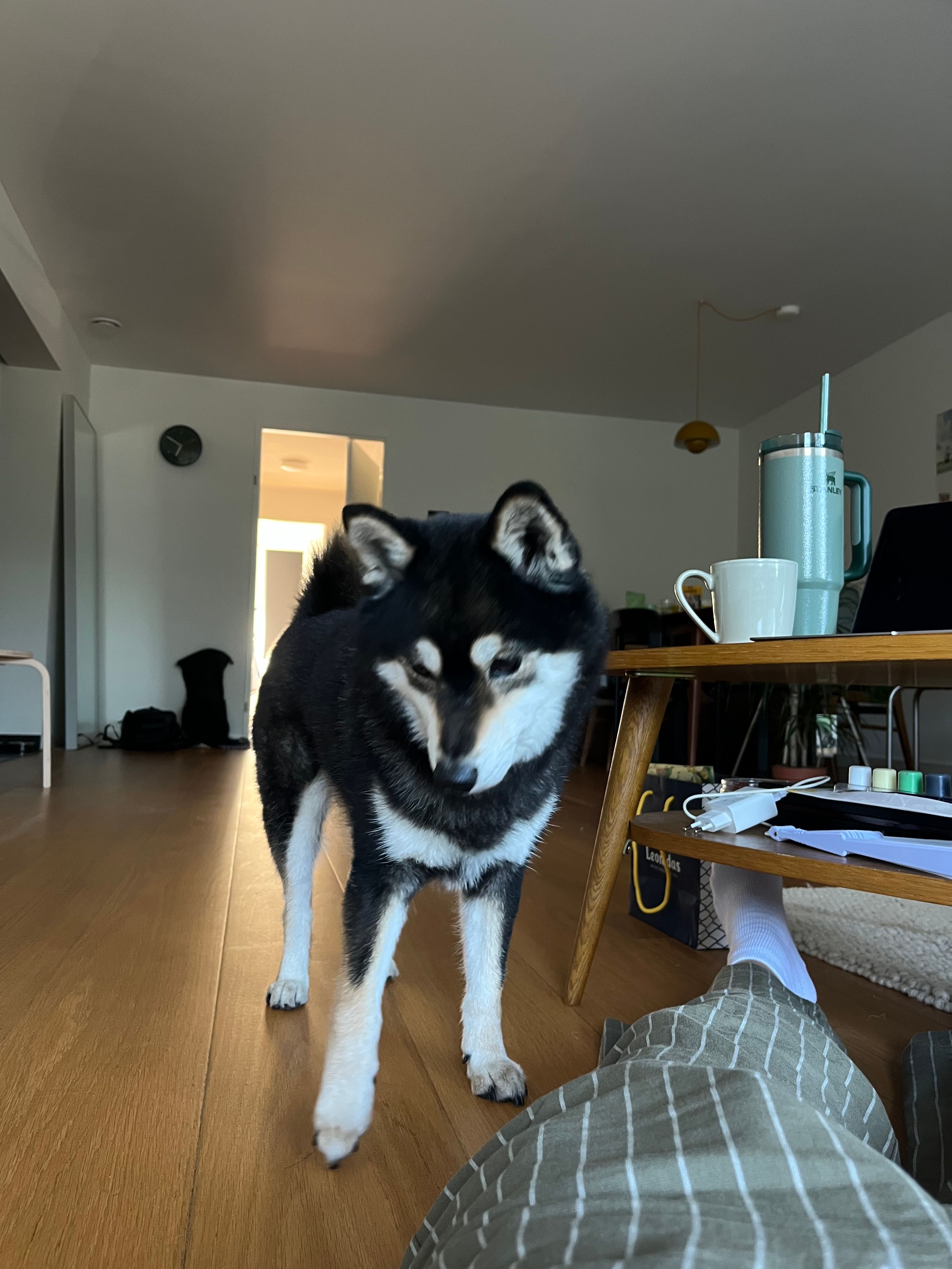 image-4