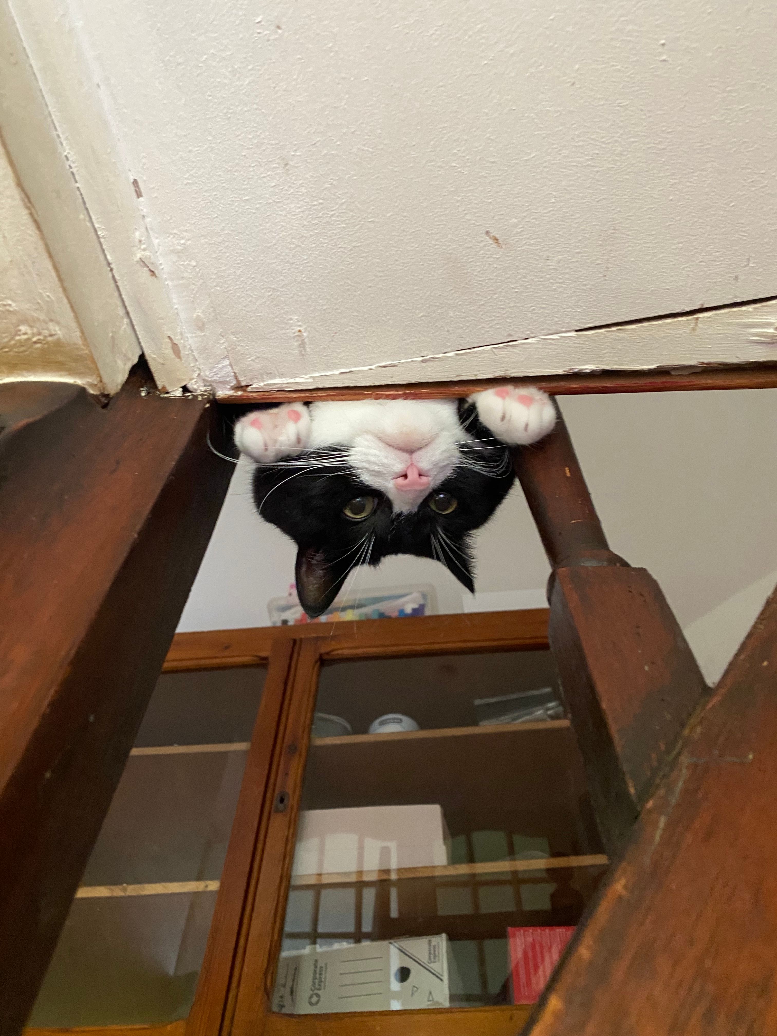 image-5