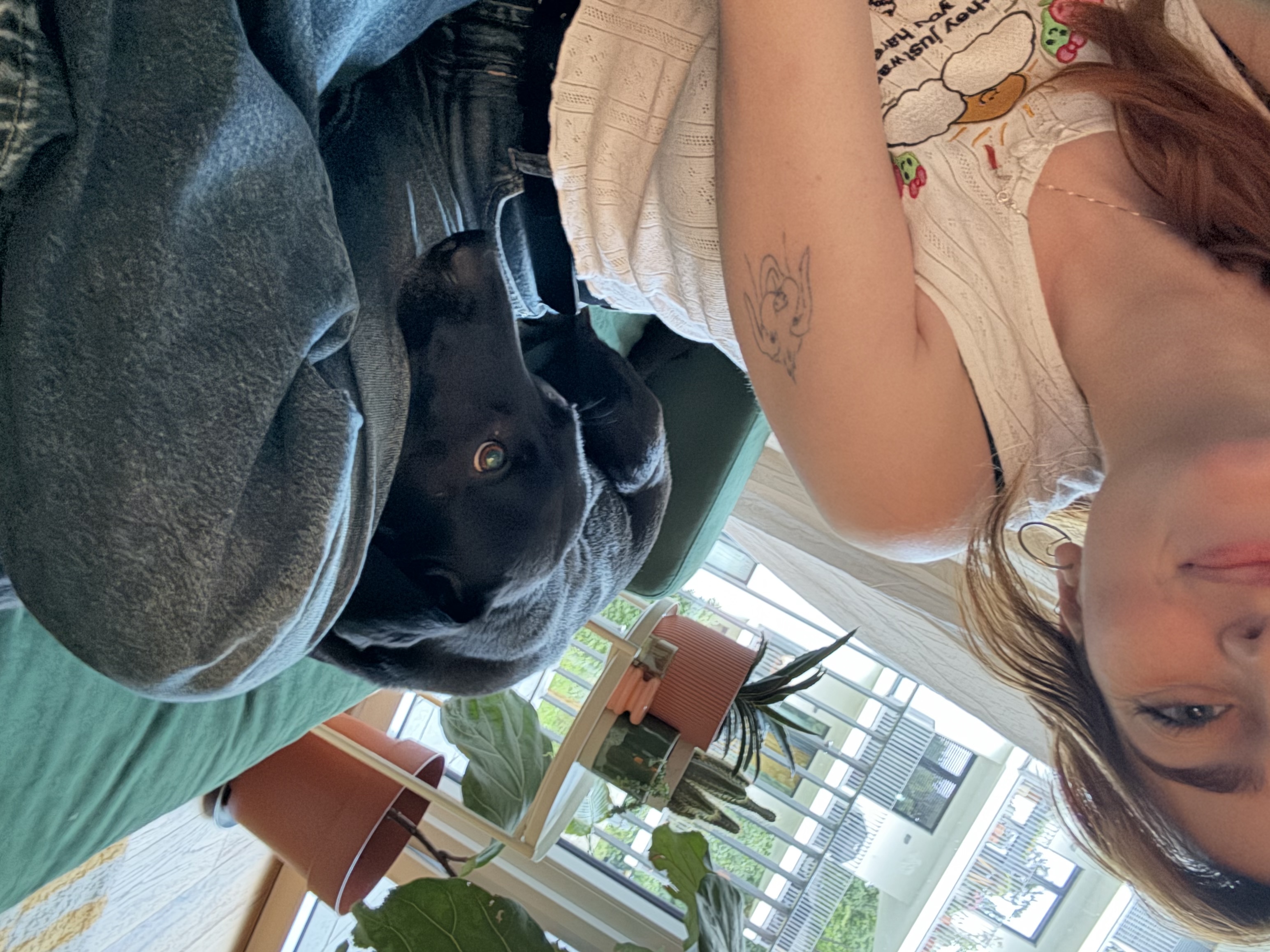 image-7