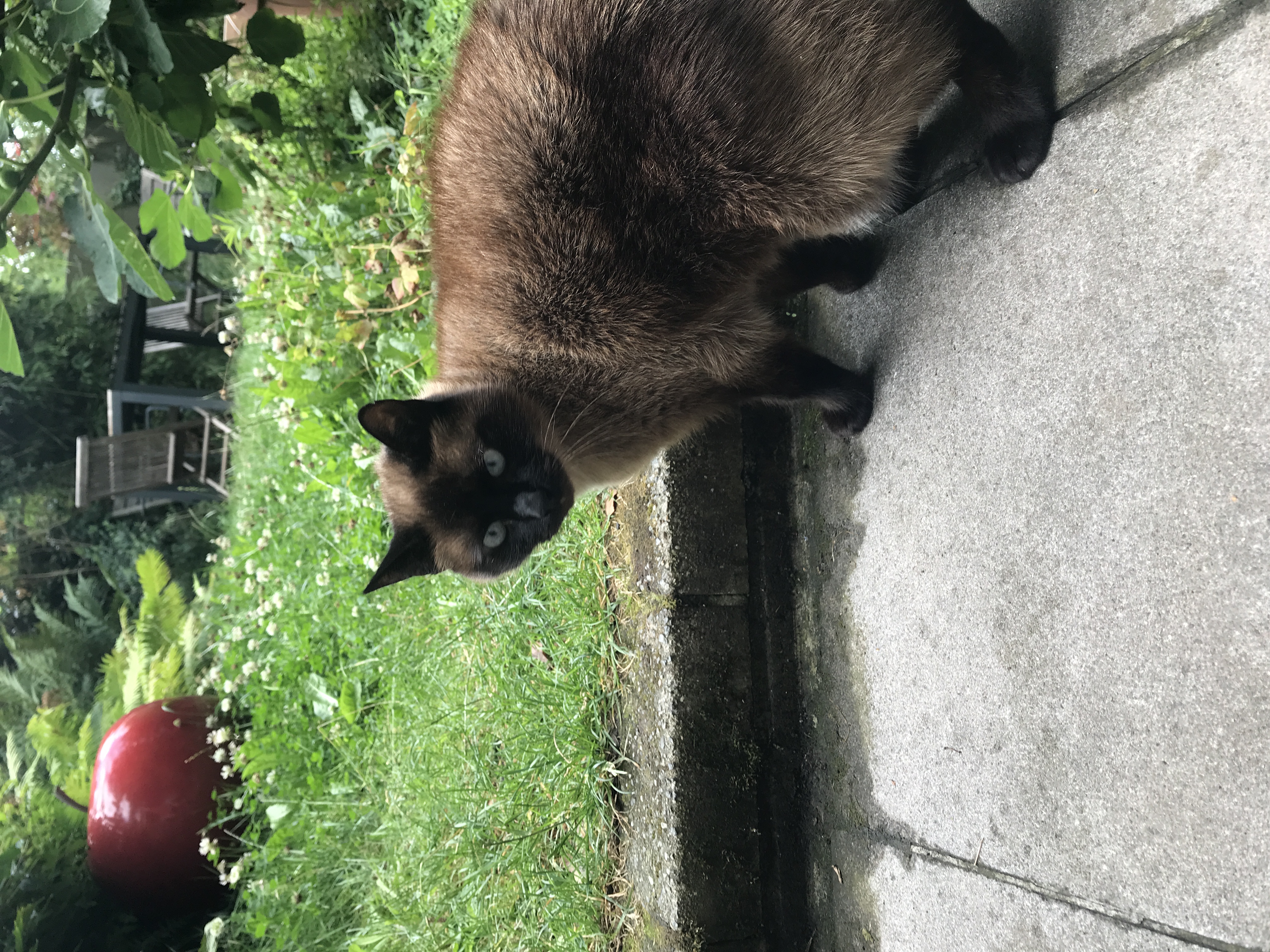 image-5