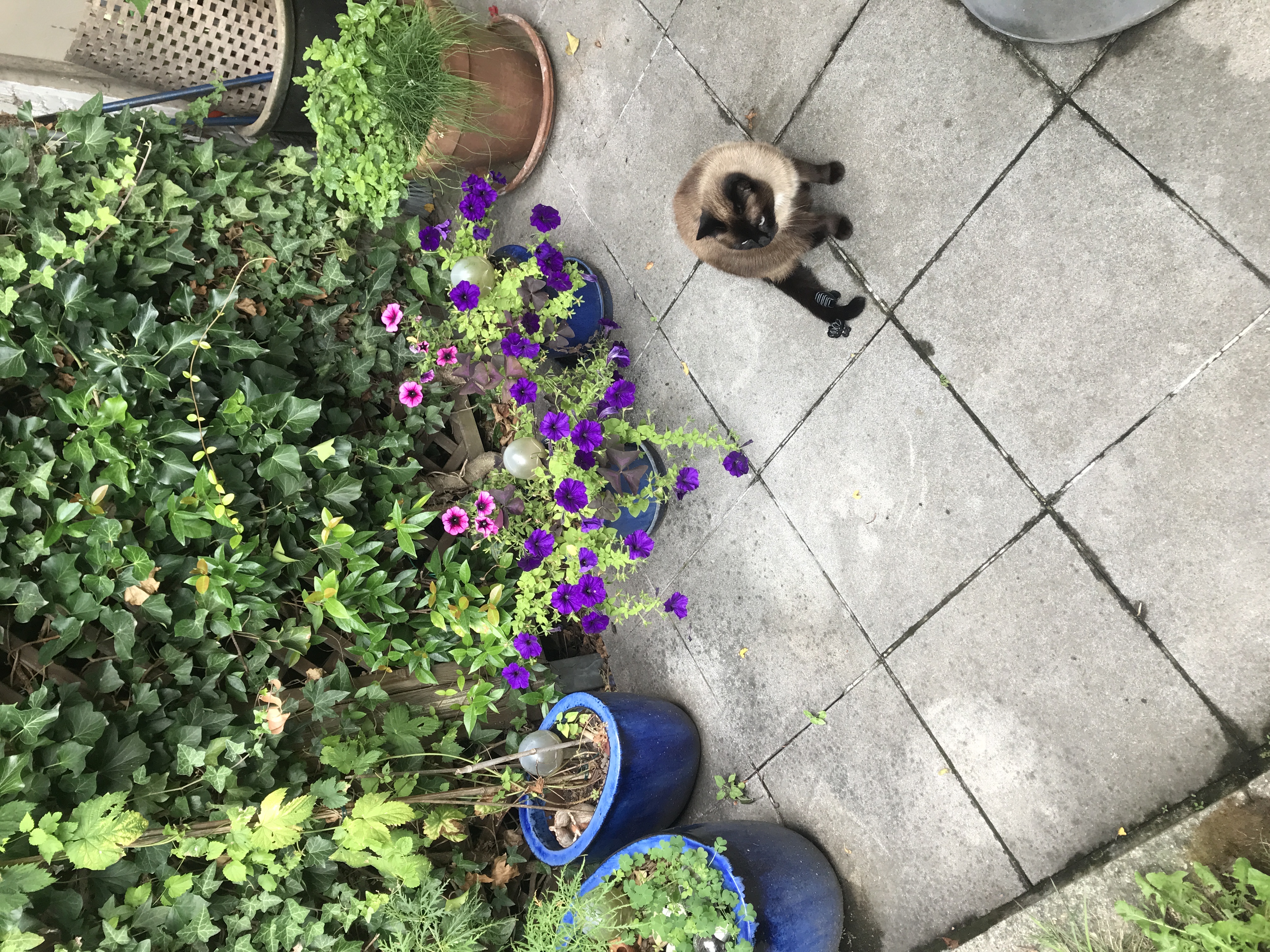 image-15