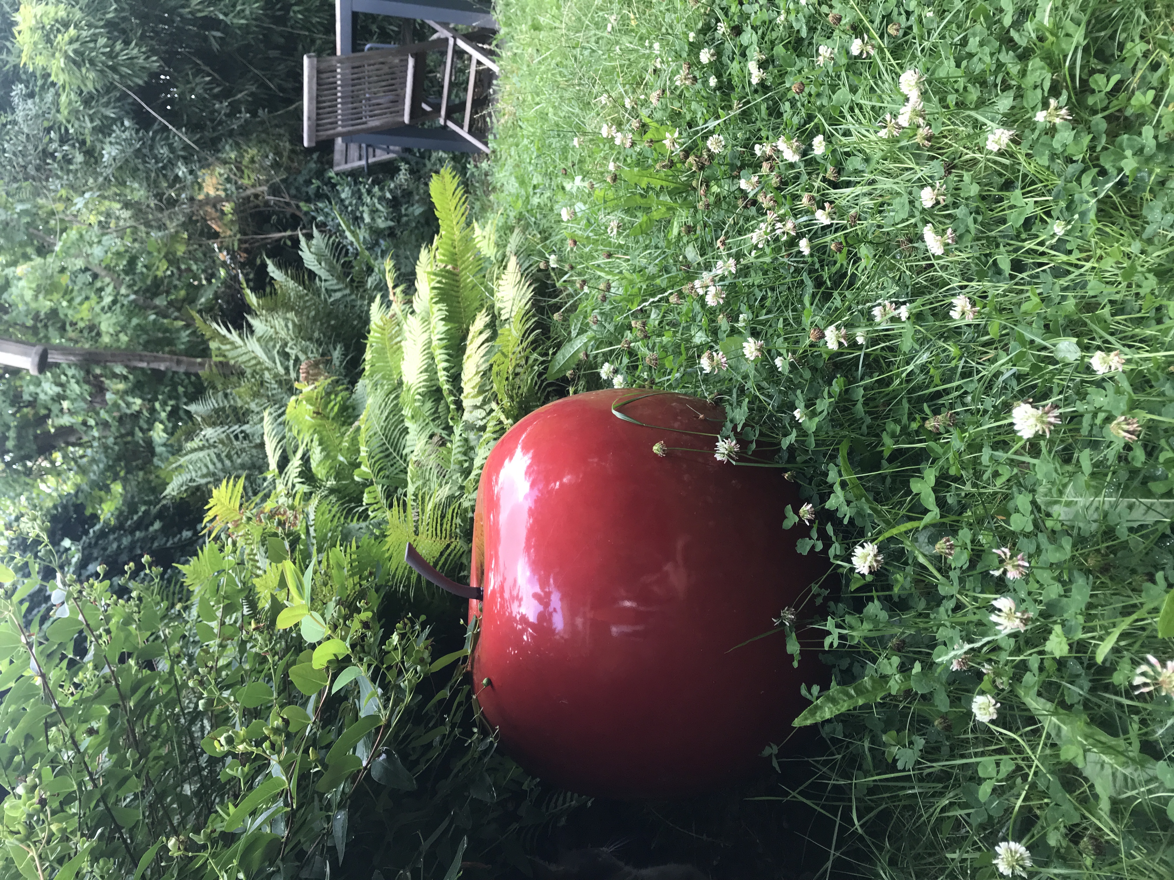 image-14