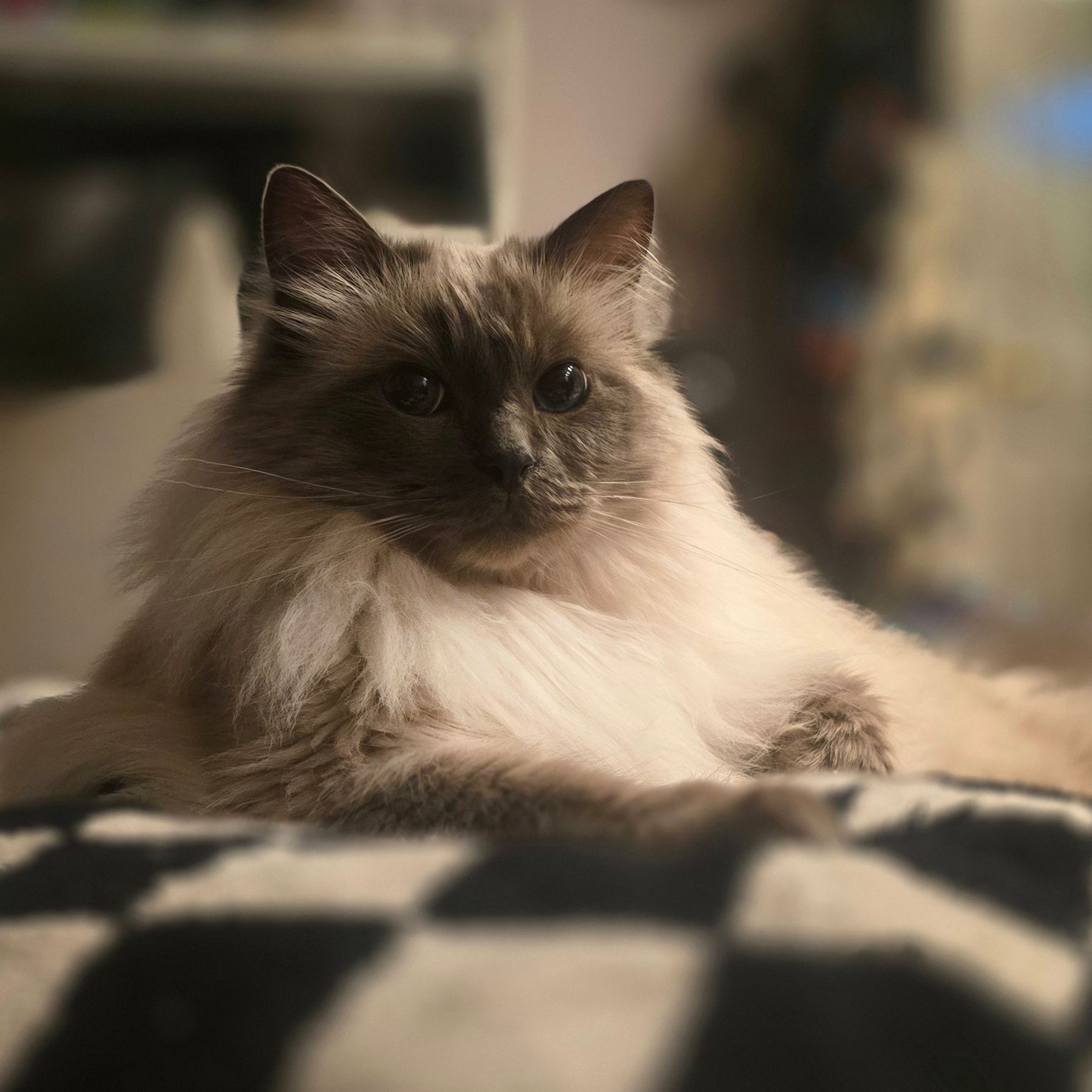 George
