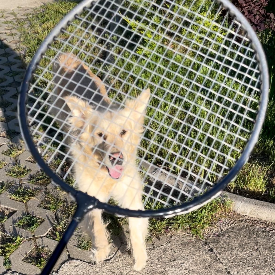 Karina Karisima (Kari)