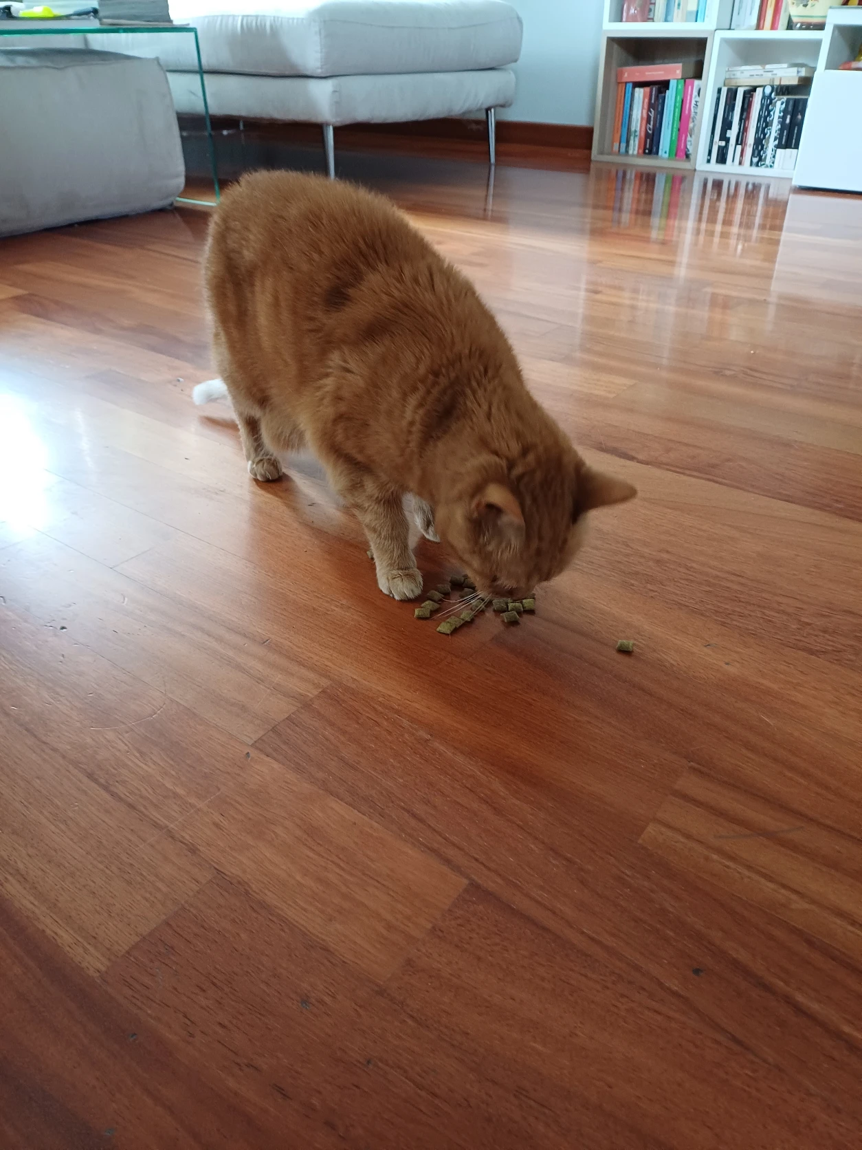 image-13