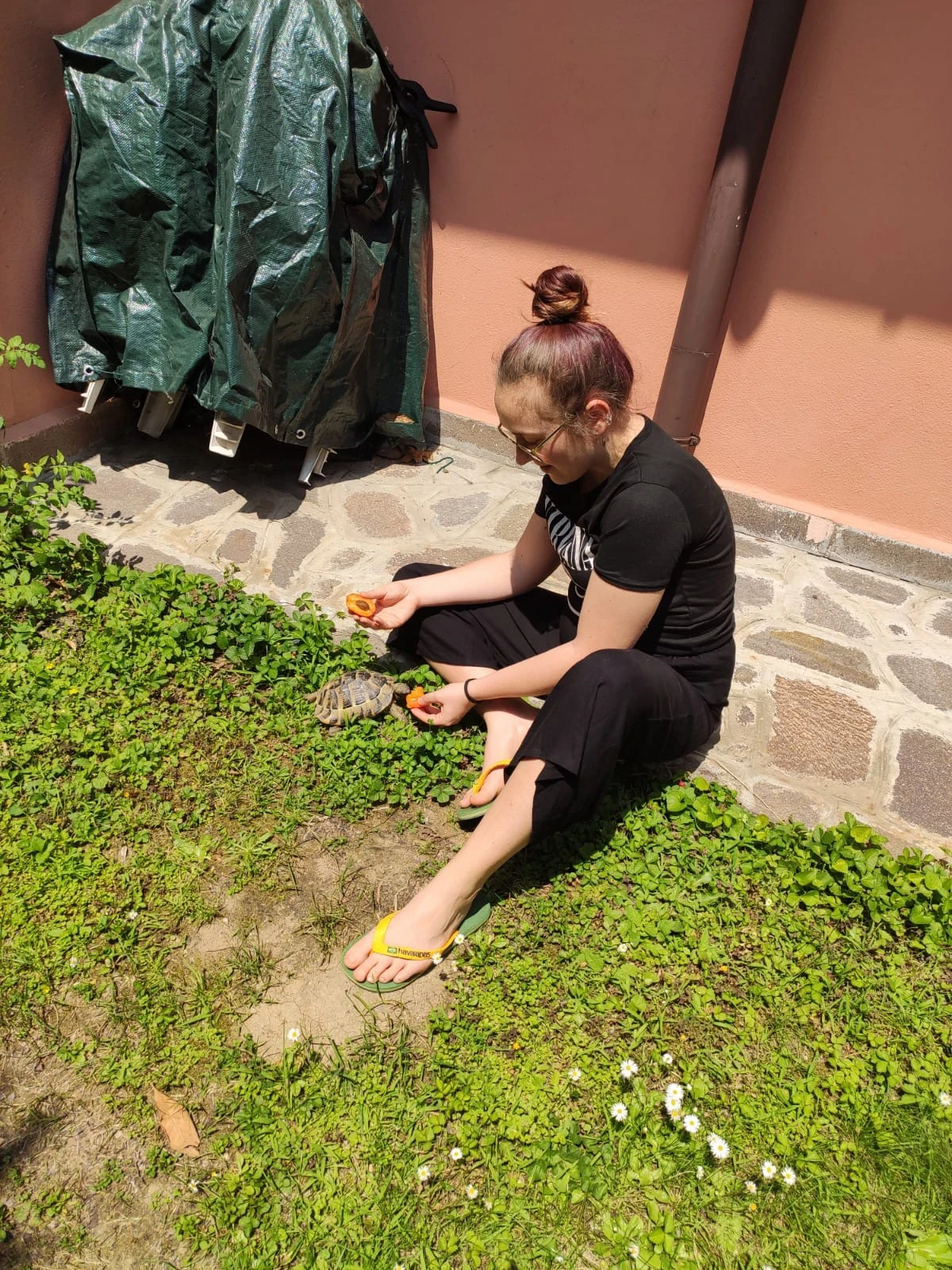 image-2