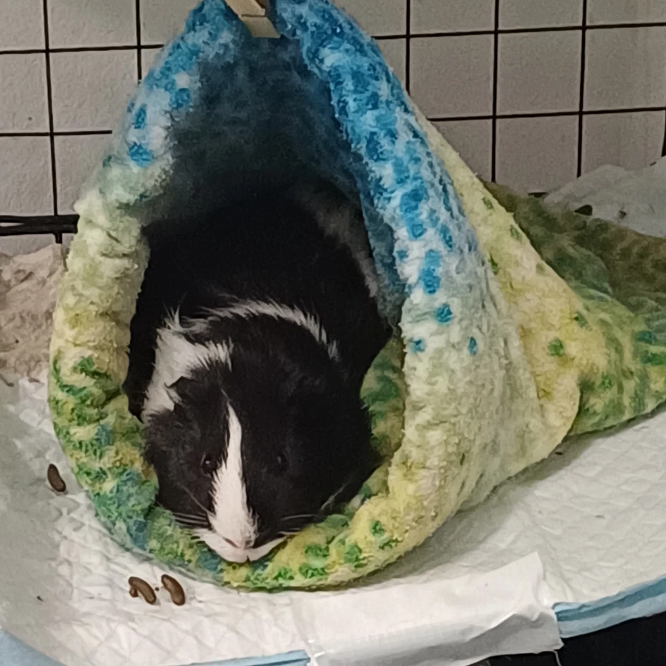 Coco