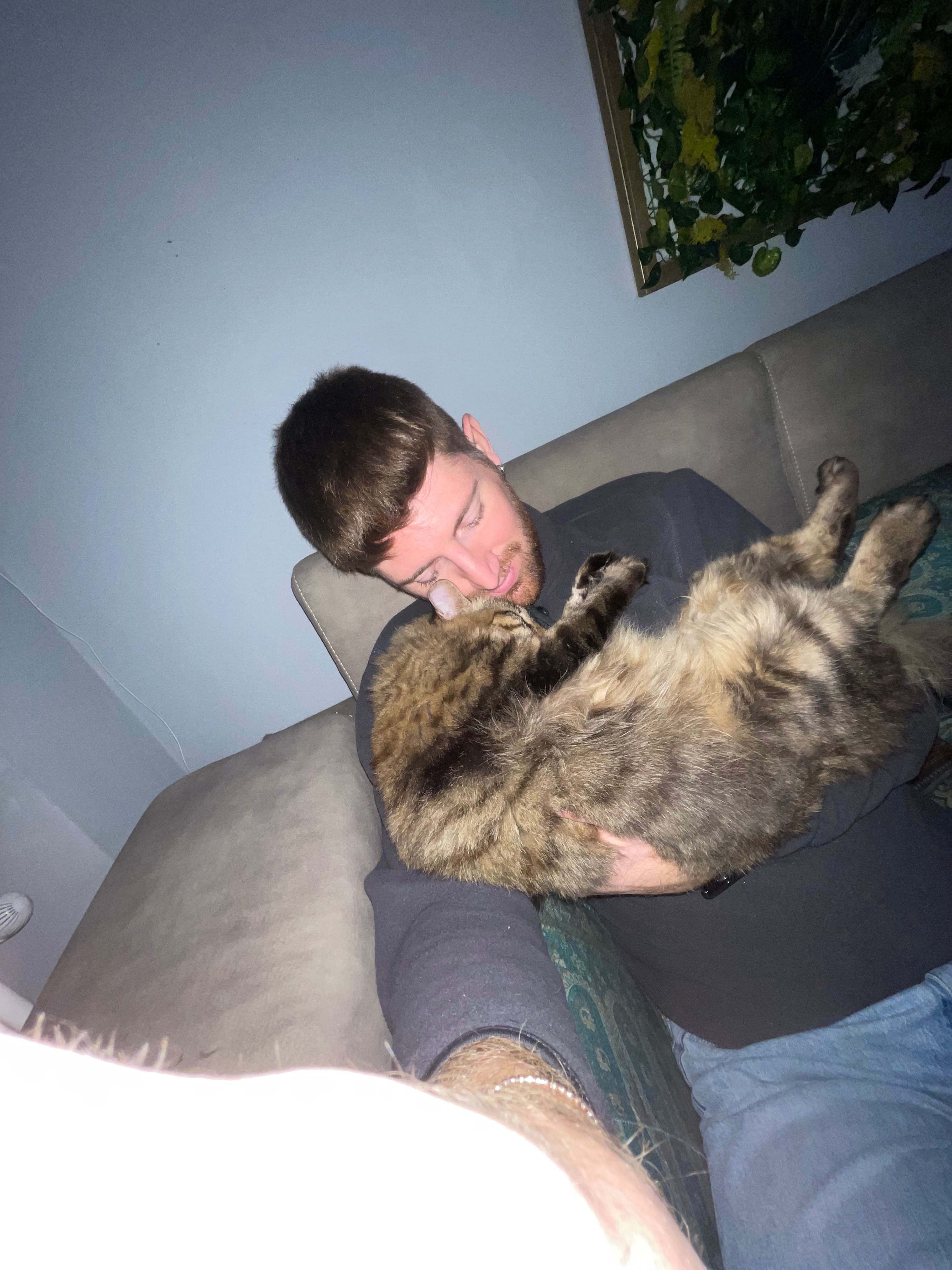 image-11