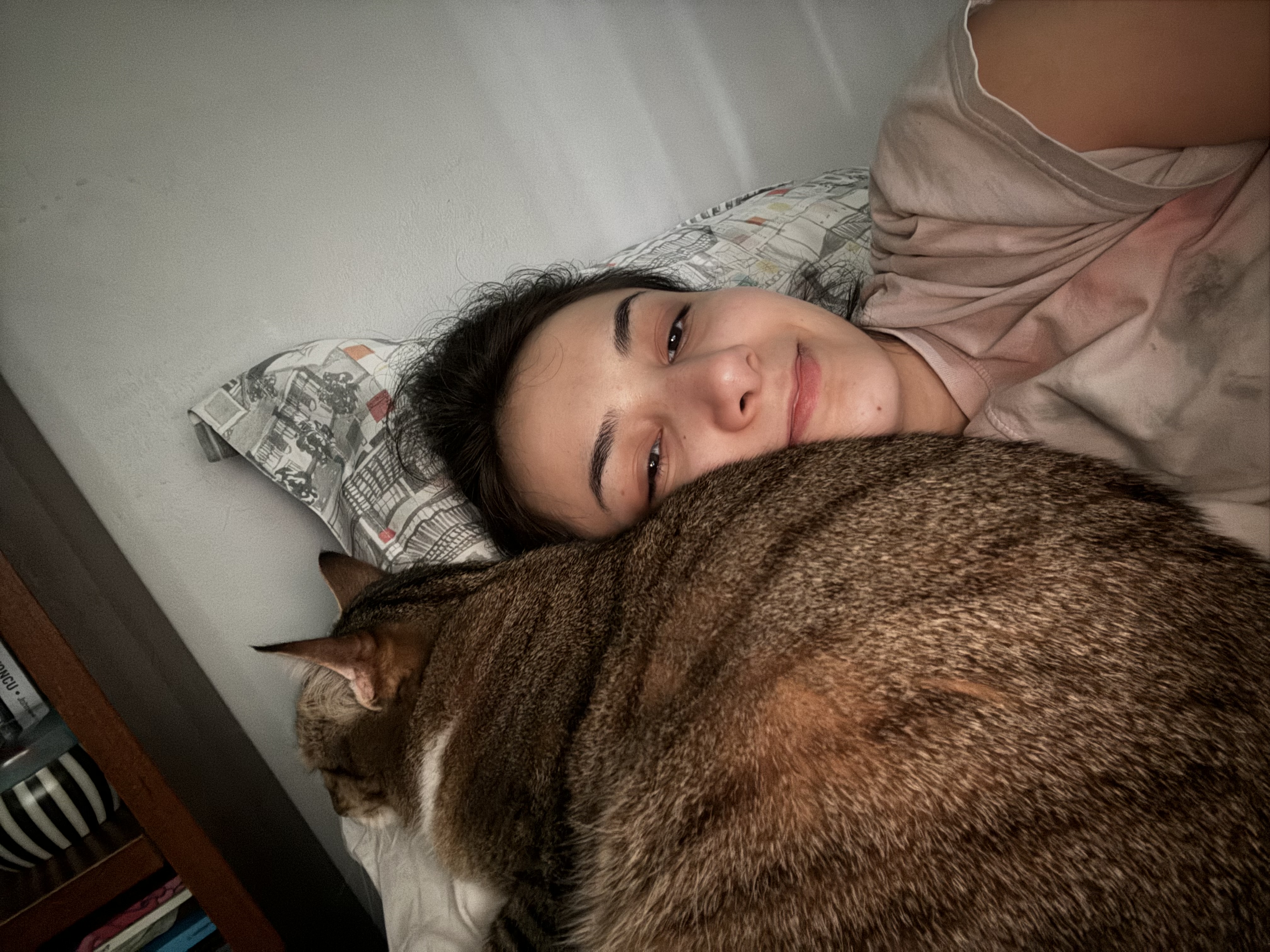 image-8