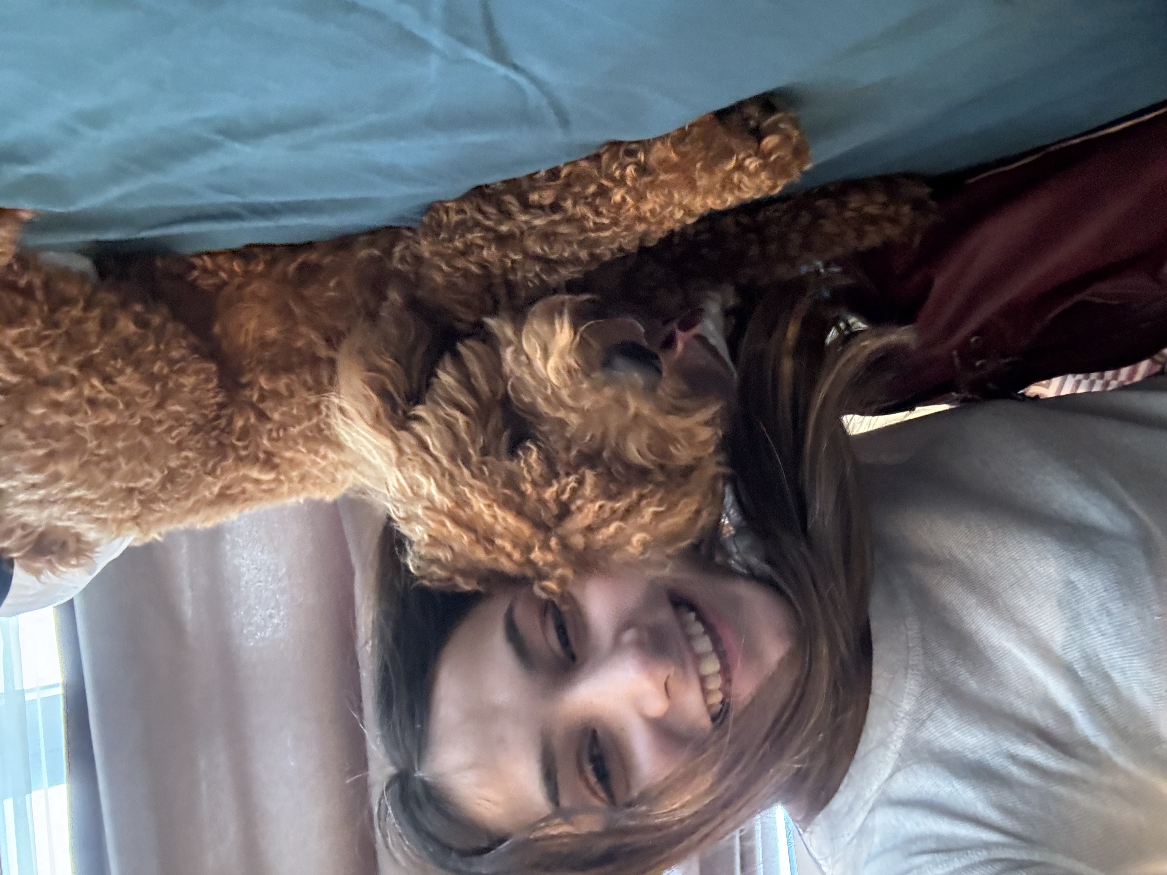 image-5