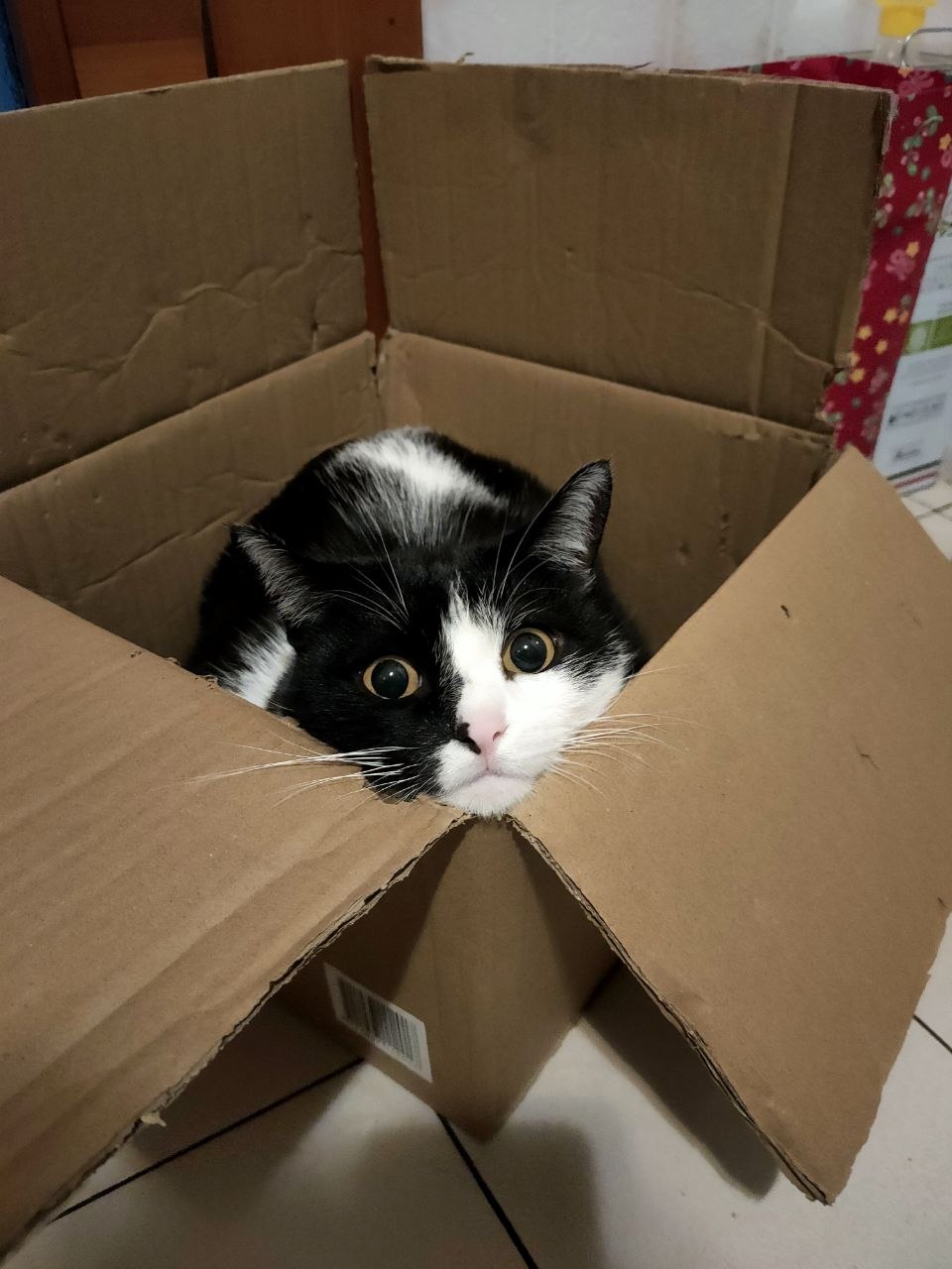 image-11